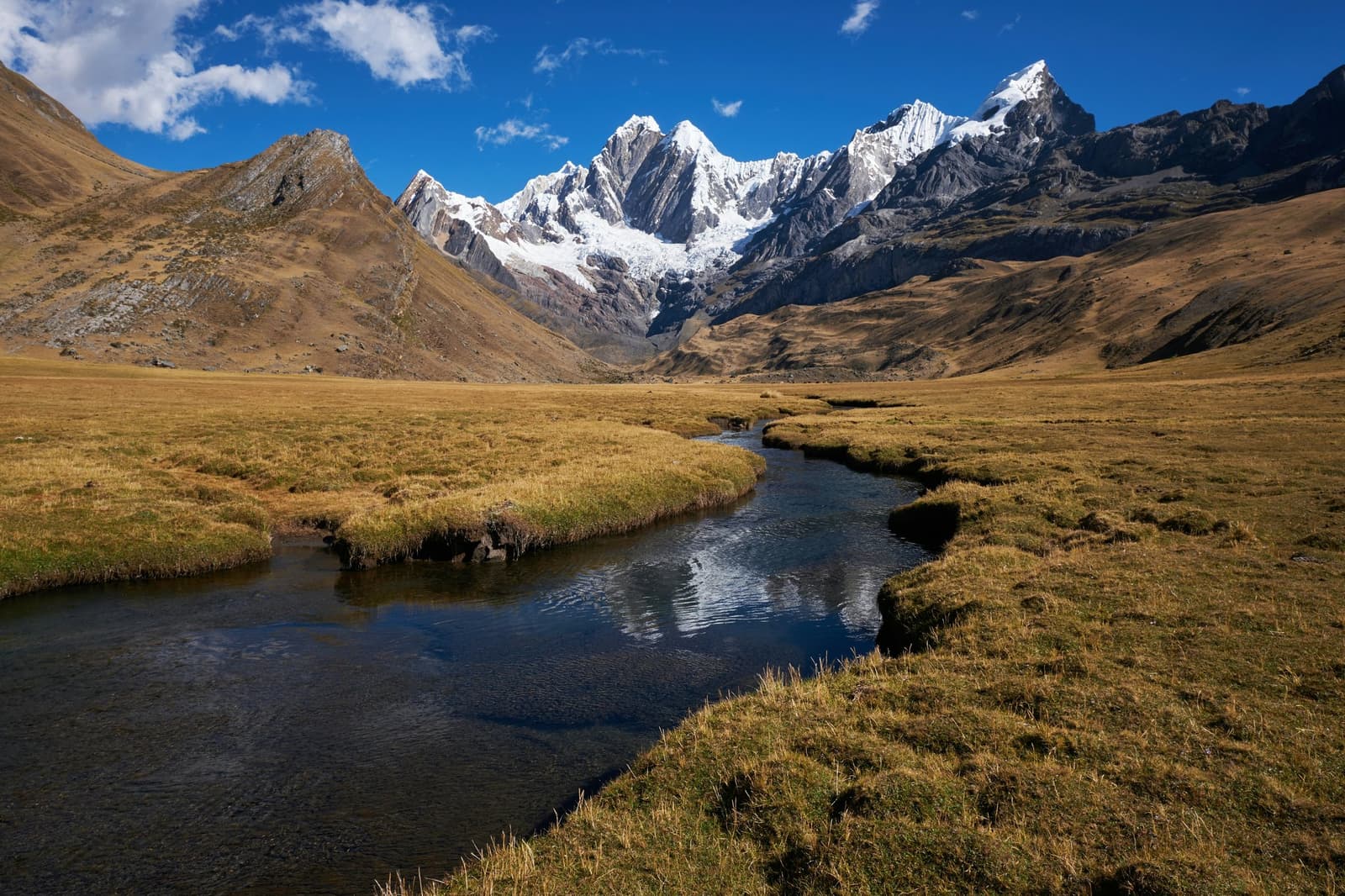 Meltwater finds its own way down. You just follow. A clear glacial stream winds through golden puna grassland on the Huayhuash circuit, leading the eye toward a cluster of snow-capped peaks under a deep blue sky
