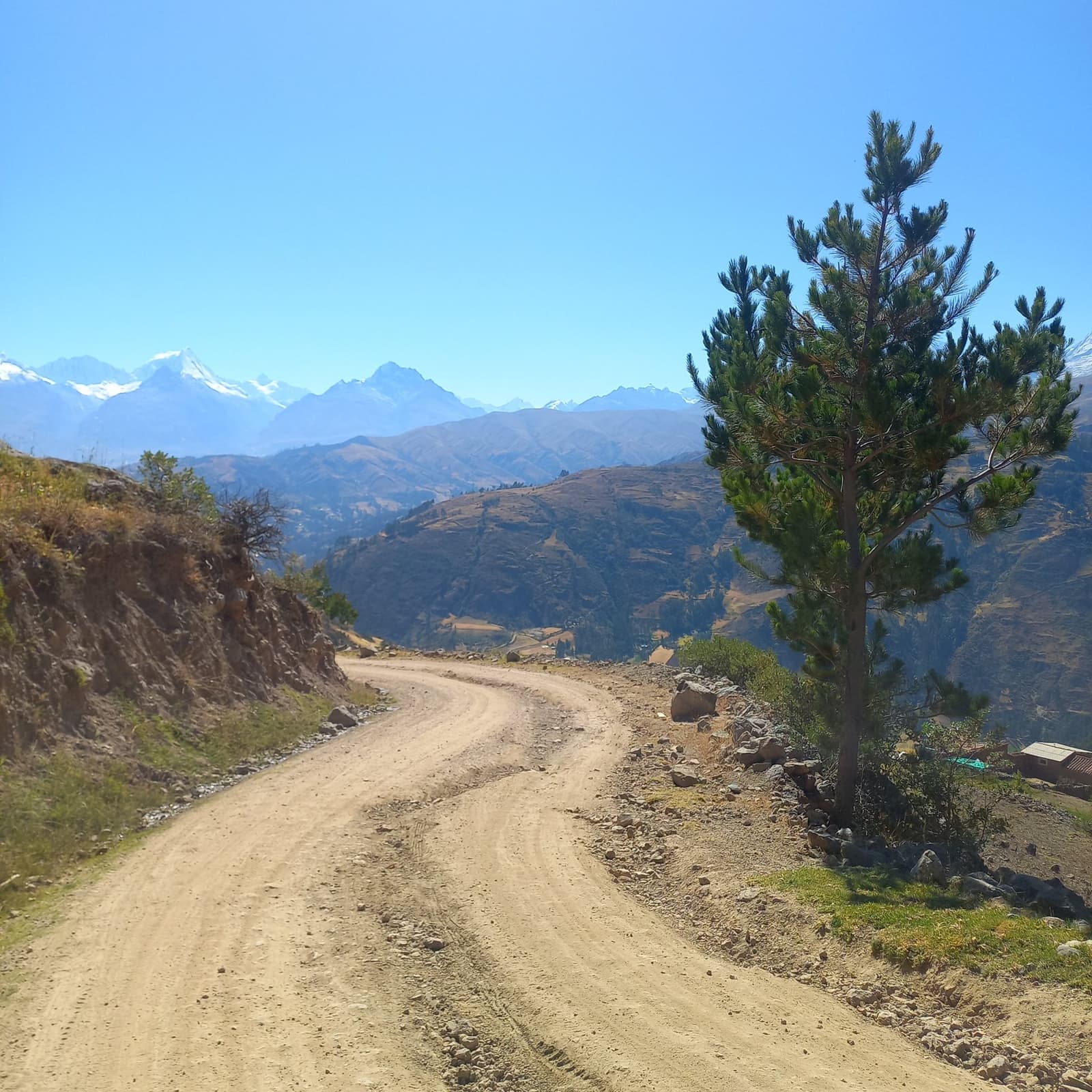 A estrada afunila, o ar rarefia, e as montanhas crescem à sua frente. Uma estrada de terra sinuosa corta uma encosta andina árida no trek Huayhuash, com picos nevados no horizonte sob um céu azul límpido e uma conífera solitária à direita