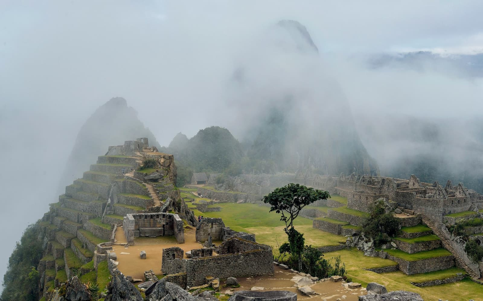 The clouds decide what you see here, and today they kept a few secrets. Aerial view of the Inca Trail to Machu Picchu citadel shrouded in low cloud, with stone terraces, roofless ceremonial buildings, a lone tree in the central plaza, and mist-veiled Andean peaks rising behind