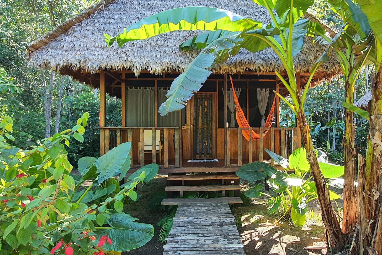 An orange hammock, a covered porch, and nothing but forest on all sides. Your inbox can wait. A thatched-roof wooden cabin surrounded by lush tropical vegetation, with an orange hammock on the open veranda and a wooden boardwalk leading to the entrance, typical of jungle lodge accommodation on a Machu Picchu Amazon tour.