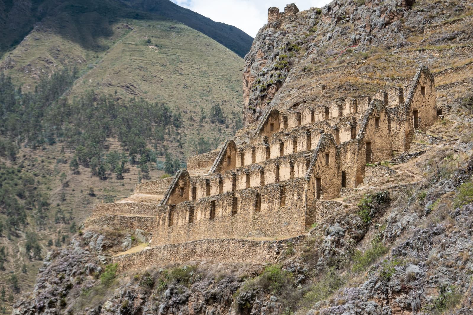Six hundred years of storage engineering, still holding its own against the mountain. Photo: Psamathe Rows of Inca stone storehouses with trapezoidal niches built into a steep rocky cliff above a green Andean valley, visited on a Machu Picchu Amazon tour through Peru's Sacred Valley.