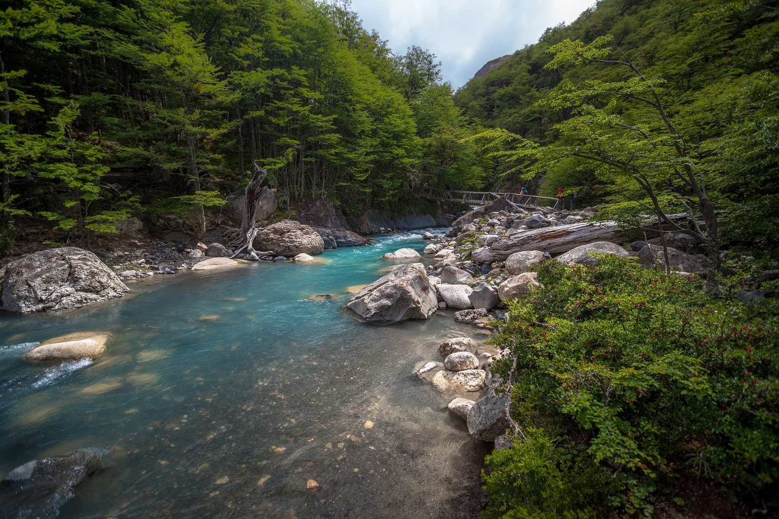 That color isn't a filter. Glacial meltwater just does that. Turquoise glacial river winding through lenga beech forest with boulders along the banks and two hikers crossing a rustic wooden footbridge, a scene typical of the self-guided O Circuit in Torres del Paine