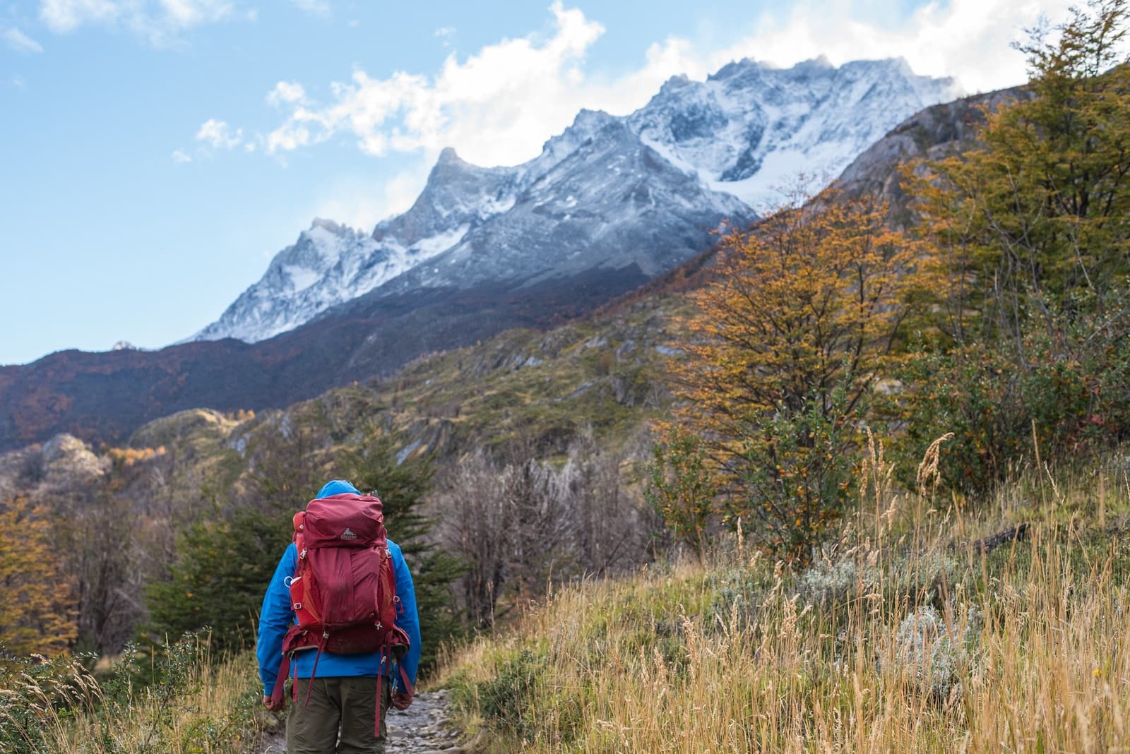 Autumn on the back side of the massif, and the mountains have your full attention. A hiker with a large red backpack and blue jacket walks a rocky trail on the o trek in patagonia, surrounded by golden autumn lenga beech trees and jagged snow-dusted peaks rising into a partly cloudy sky