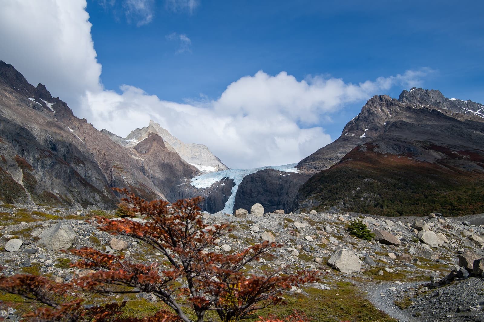 Ice this close, earned on foot. The Los Perros Glacier earns its remoteness. A blue glacier tongue descends between rocky Patagonian peaks on the o trek patagonia, framed by a small autumn-red lenga beech shrub and a boulder-strewn valley floor under a partly cloudy blue sky