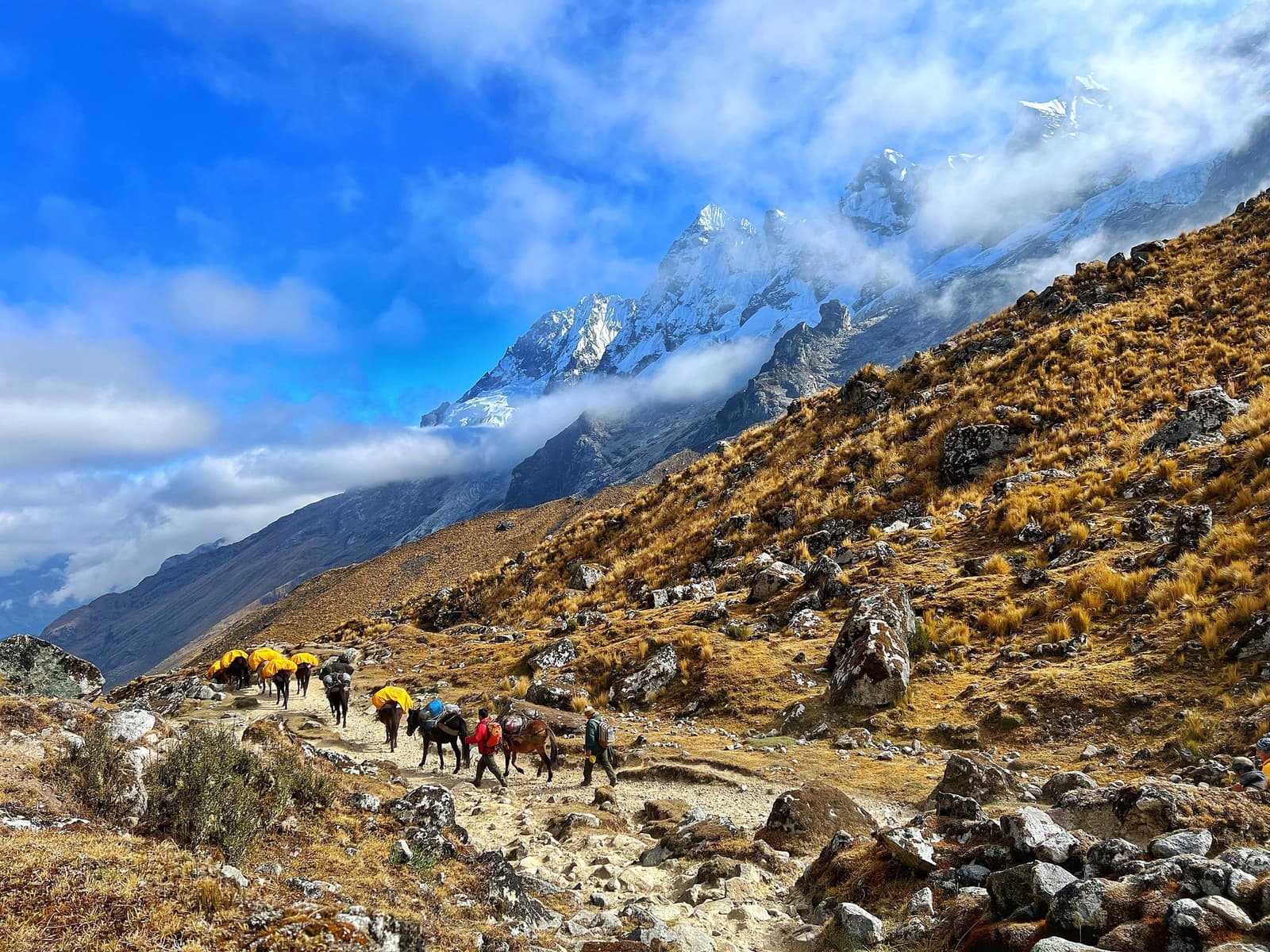As mulas carregam o peso; seus pés guardam forças para a passagem mais alta. Uma fila de mulas carregadas com bolsas amarelas conduzida por dois caminhantes em uma trilha rochosa de alta altitude no trek Salkantay até Machu Picchu, com picos nevados dos Andes emergindo entre nuvens baixas acima de pastagens douradas de puna
