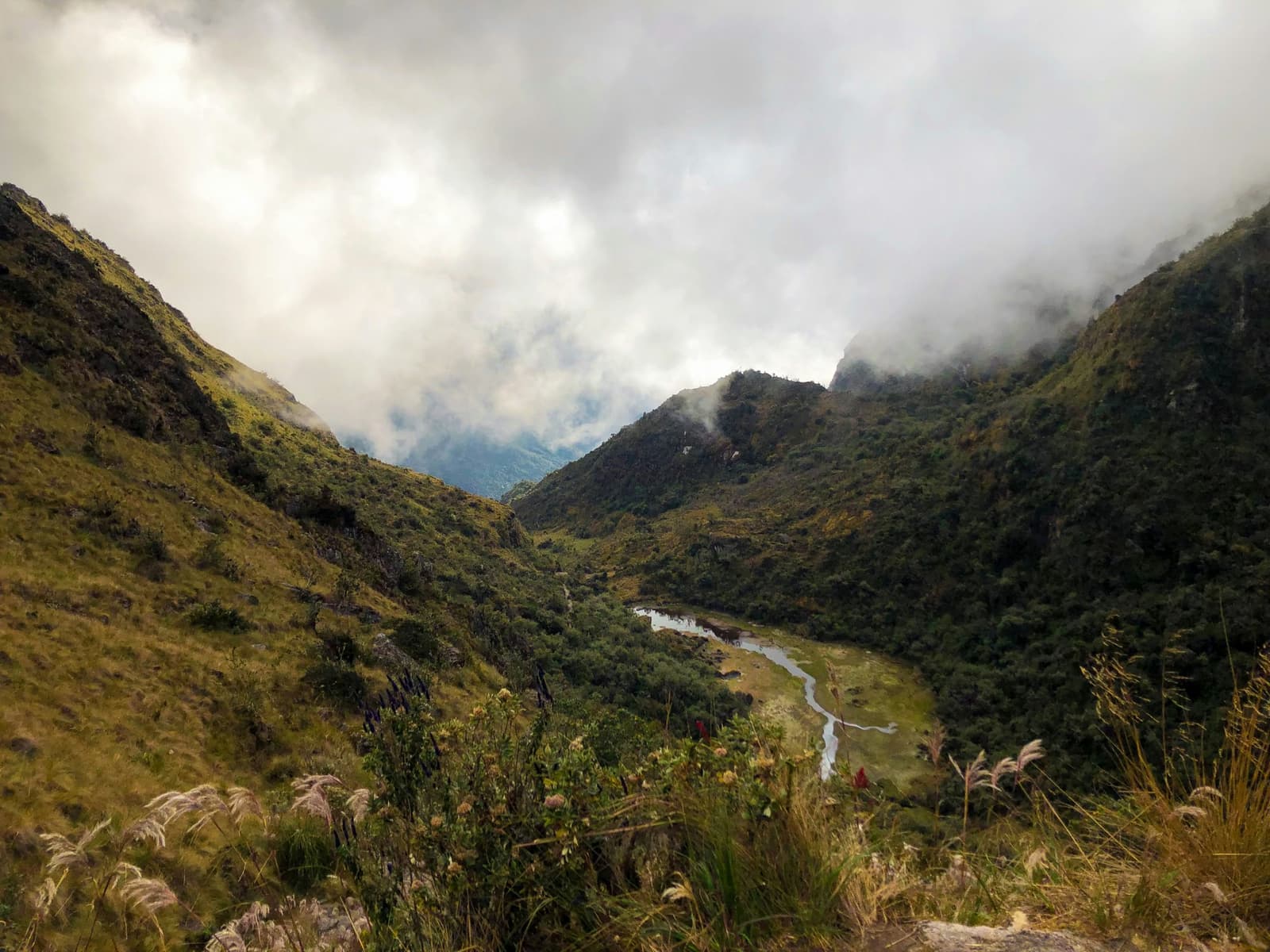 As nuvens chegam baixo, o vale segue no seu ritmo. Um riacho estreito serpenteia pelo fundo verdejante de um vale alto-andino na trilha Santa Cruz, ladeado por encostas íngremes cobertas de capim e arbustos que desaparecem entre nuvens baixas, com capim-dos-pampas no primeiro plano