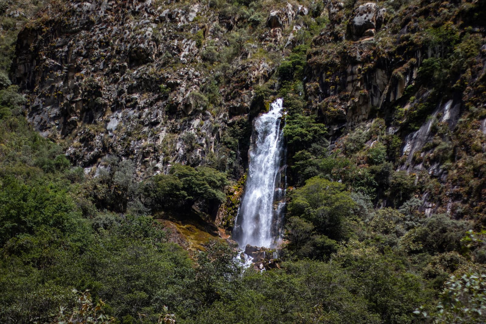 Gravity doing its thing, right on cue. A tall waterfall cascades down a moss-covered rocky cliff face on the santa cruz trek, surrounded by dense green shrubs and Andean vegetation