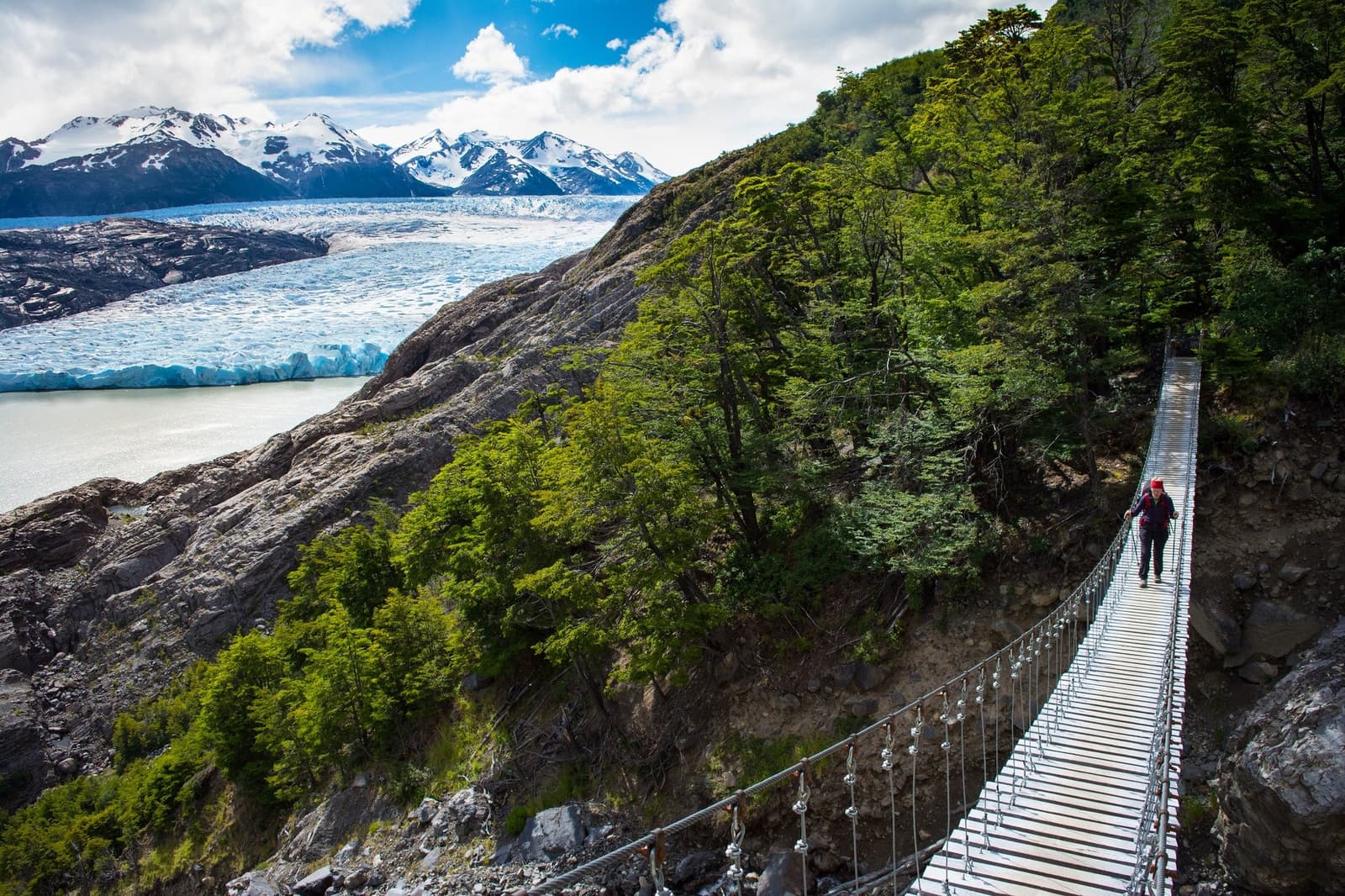 A glacier on one side, a wire bridge underfoot, and no option but to keep walking. A hiker in a red hat crosses a long suspension bridge on the short w trek, with the blue ice face of Grey Glacier and snow-capped peaks filling the valley behind
