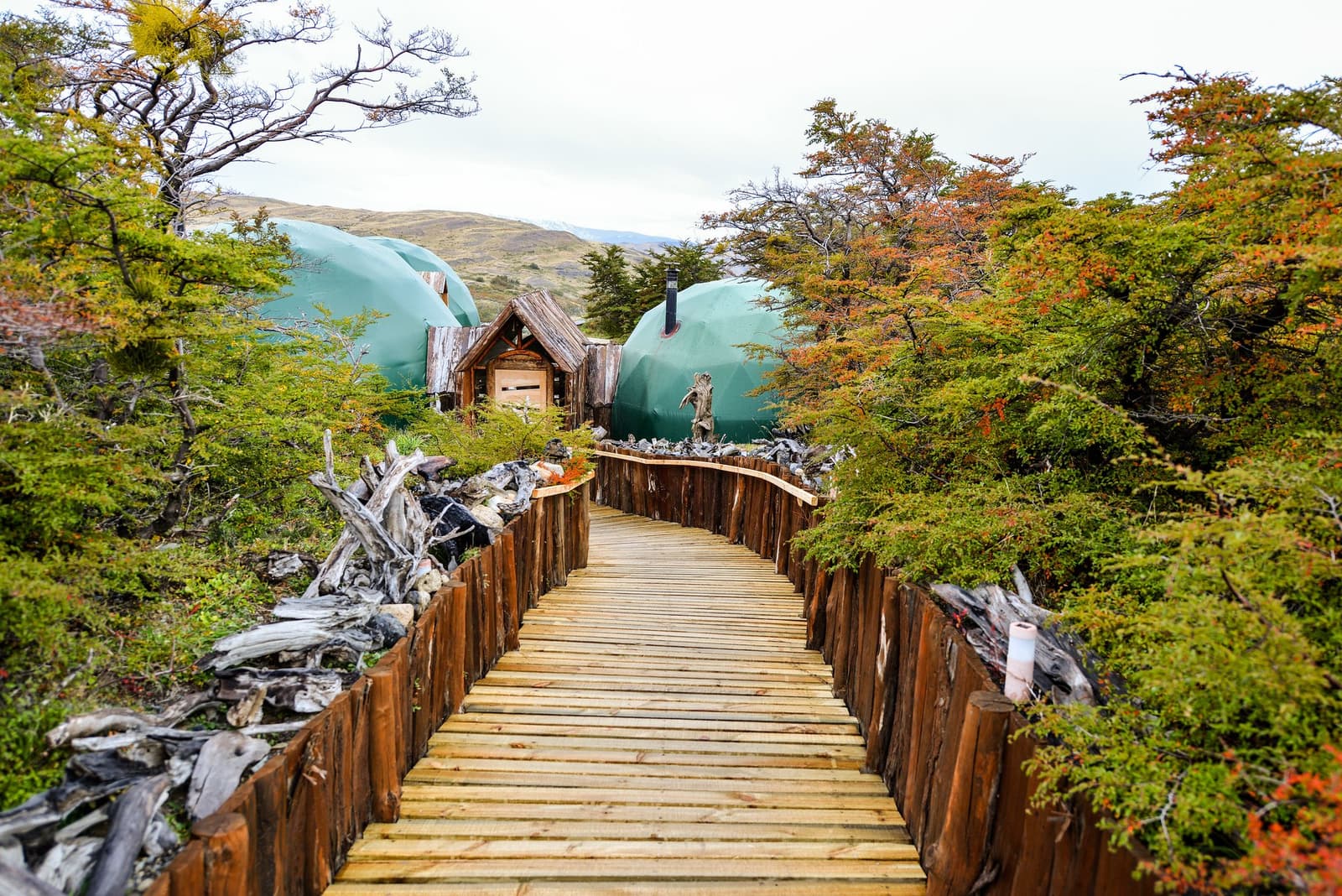 O caminho até o domo já vale a chegada. Photo: Camp Overview Uma passarela de madeira atravessa faias-da-patagônia com folhagem de outono e conduz a dois domos geodésicos verdes do EcoCamp Patagonia, com colinas patagônicas ao fundo.