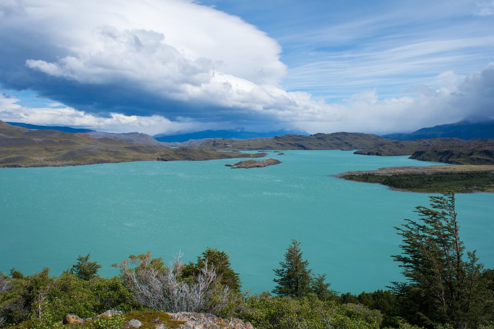 That colour isn't a filter. Glacial flour does it all on its own. Elevated view over a vast turquoise glacial lake on the torres del paine w trek, with small rocky islands, wind-bent trees in the foreground, rolling hills, and dramatic storm clouds building over distant snow-capped mountains