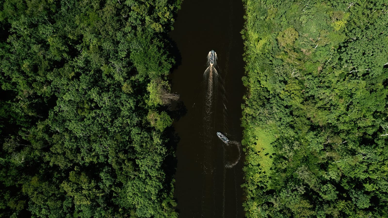 Two skiffs, one river, and a forest that just keeps going. Photo: Daniel Silva Yoshisato Aerial view of two motorized skiffs navigating a narrow dark-water river channel flanked by dense tropical forest canopy on an Aria Amazon cruise excursion