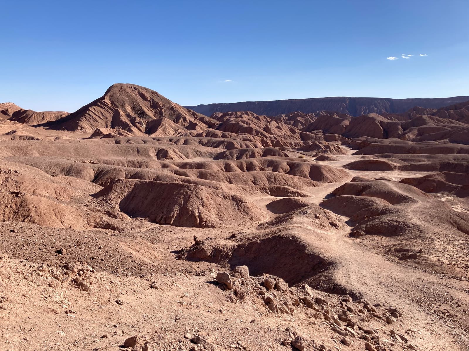 Millones de años de erosión, y ni una grieta de más. Vista panorámica de badlands color óxido profundamente erosionados bajo un cielo azul despejado, paisaje típico del terreno que se recorre en un campamento en el desierto de Atacama, con colinas estratificadas y un sendero estrecho que serpentea por el fondo del valle