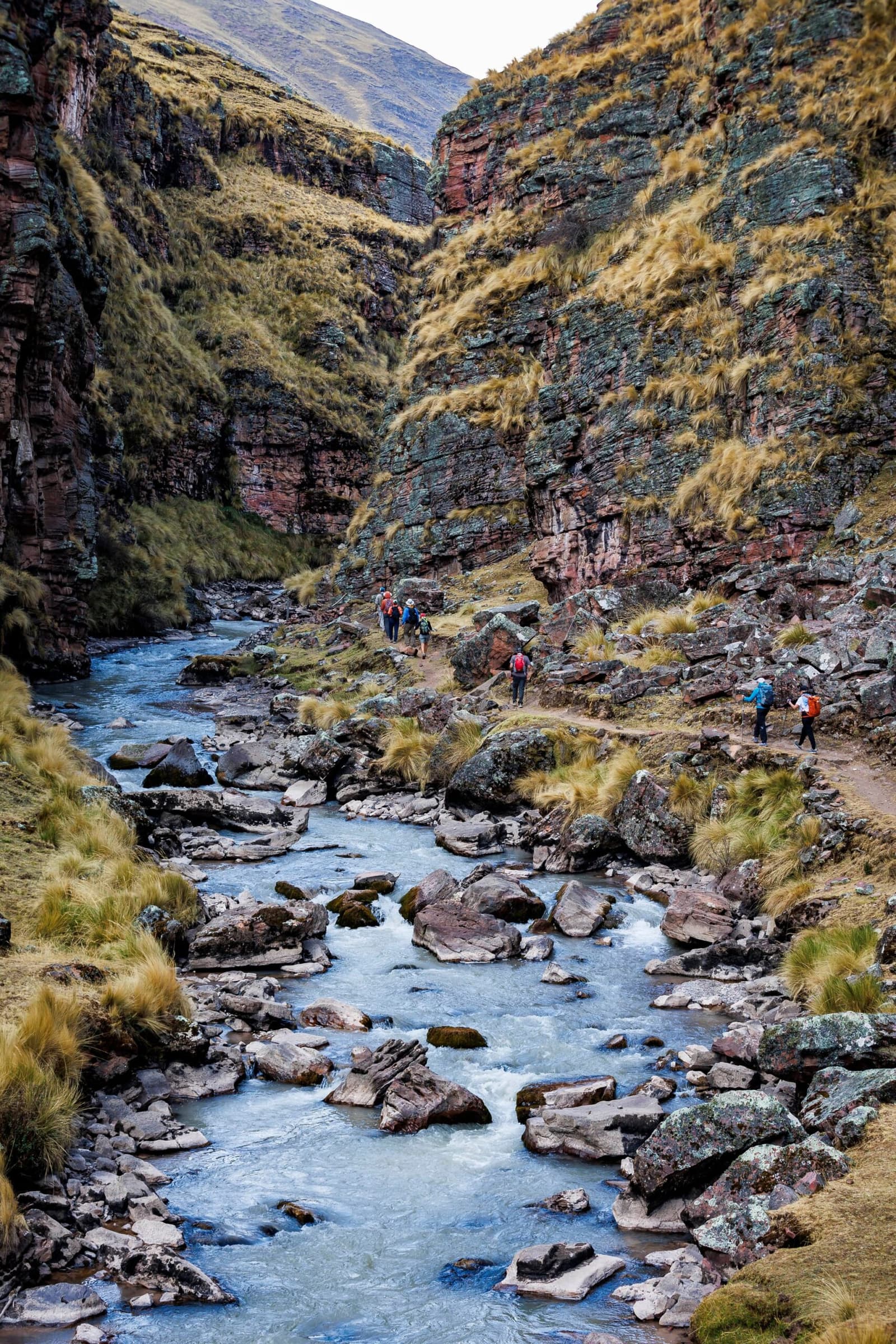The river sets the rhythm; the canyon decides the pace. A group of hikers with backpacks picking their way along a rocky trail beside a fast-flowing glacial river in a deep Andean canyon, with stratified red-rock walls draped in tussock grass rising on both sides — a classic scene on the Ausangate Lodge Trek.