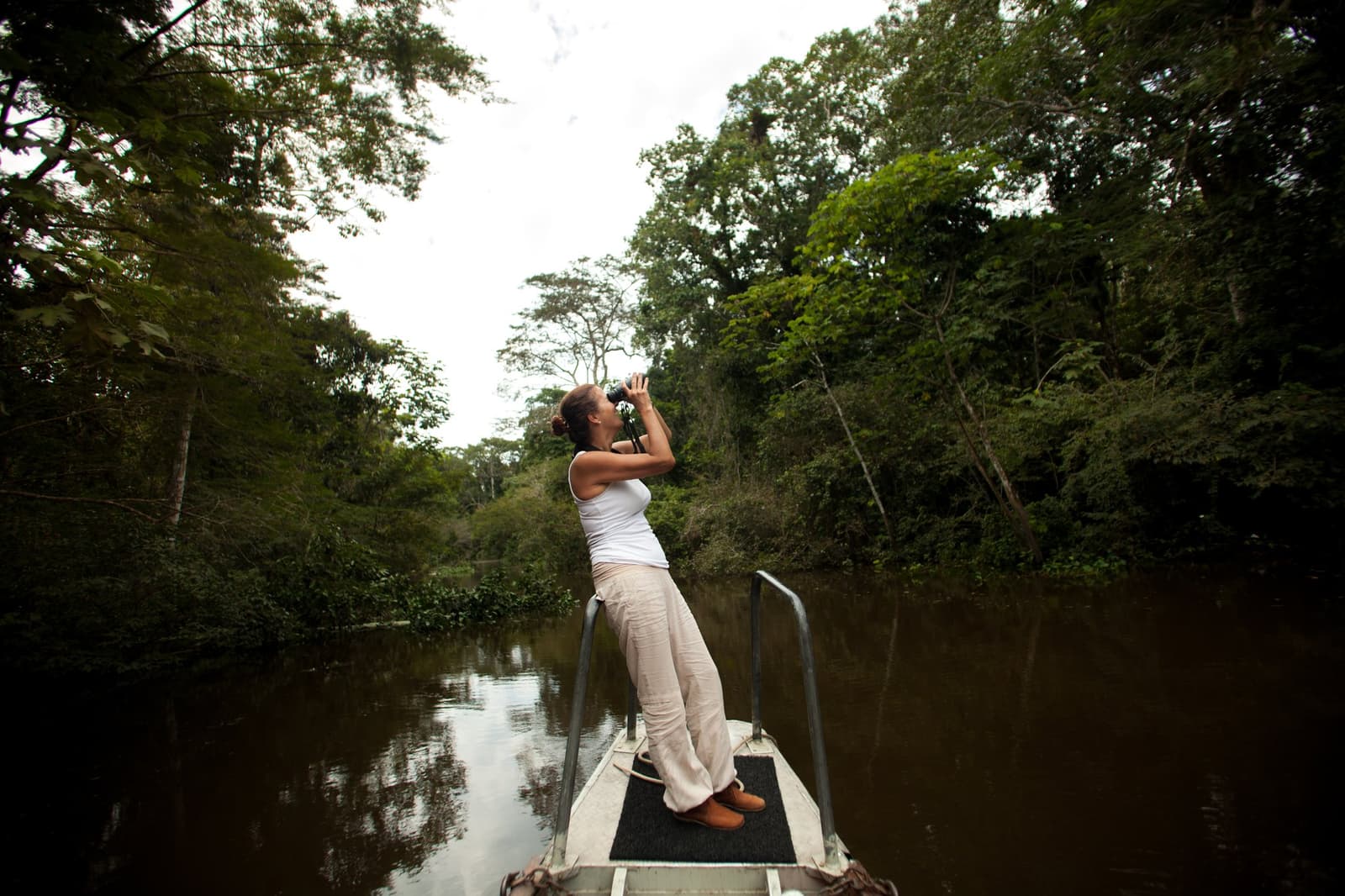 Binóculos levantados, motor desligado, e a copa vira um quebra-cabeça. Photo: er: Rodrigo Rodrich Uma mulher de pé na proa de um pequeno barco observa a copa da floresta com binóculos durante um cruzeiro Delfin pela Amazônia, cercada por árvores altas às margens de um rio escuro na floresta inundada