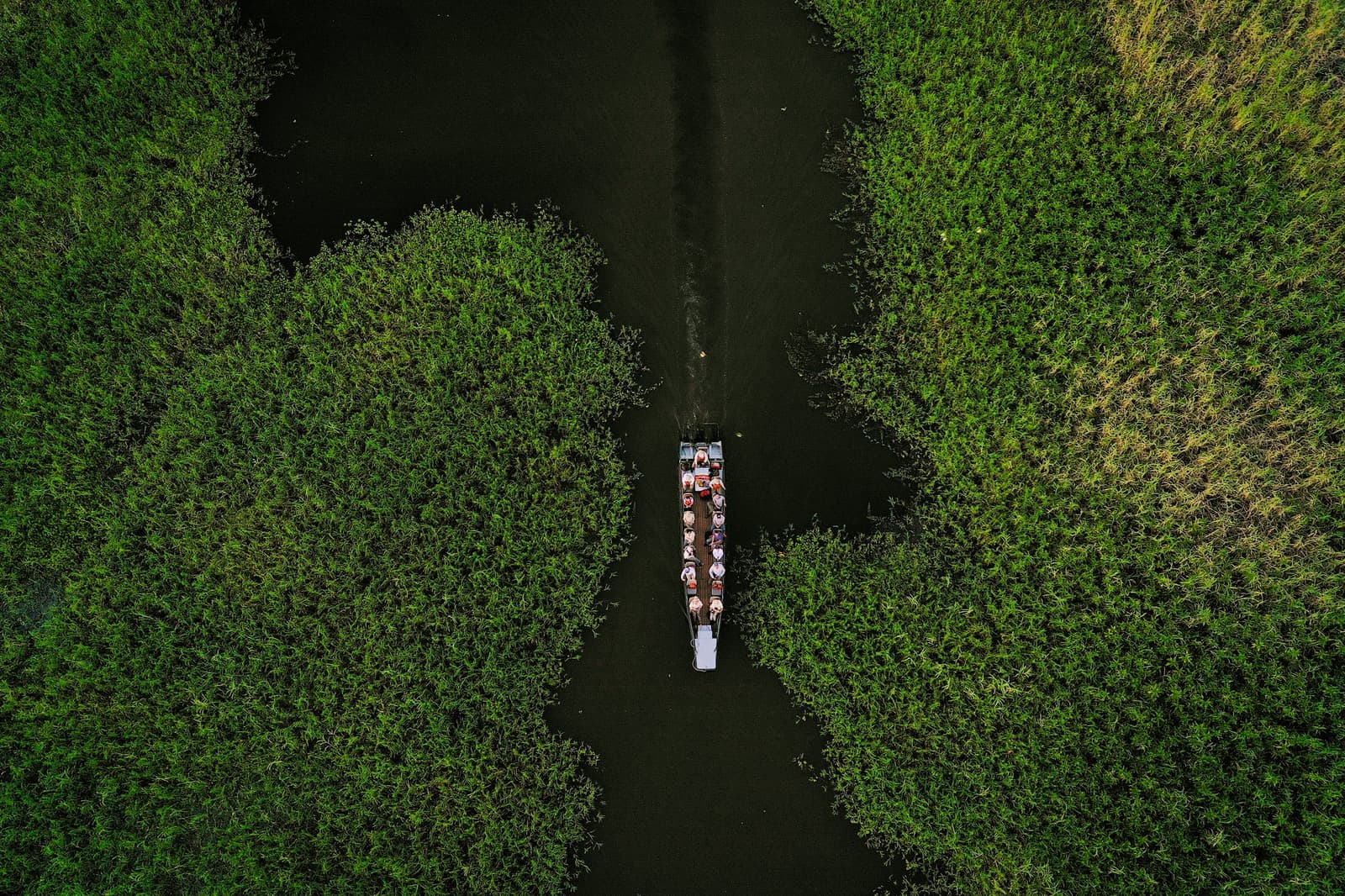 Um barquinho, uma floresta sem fim, e um canal que parece existir só pra você. Vista aérea de cima para baixo de um pequeno barco de passageiros navegando por um canal estreito de águas escuras ladeado por densa vegetação de áreas úmidas durante um cruzeiro Delfin na Amazônia peruana