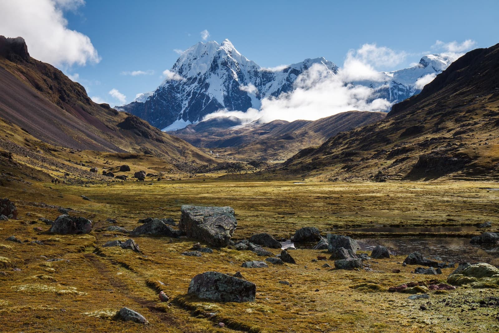 Above the treeline, the Andes open up and remind you exactly how big this country is. Photo: Indrik myneur A wide high-altitude puna valley with golden grassland, scattered boulders and a small stream in the foreground, framing a snow-capped Andean peak rising through low cloud on this machu picchu amazon tour machu picchu and amazon tours overland crossing