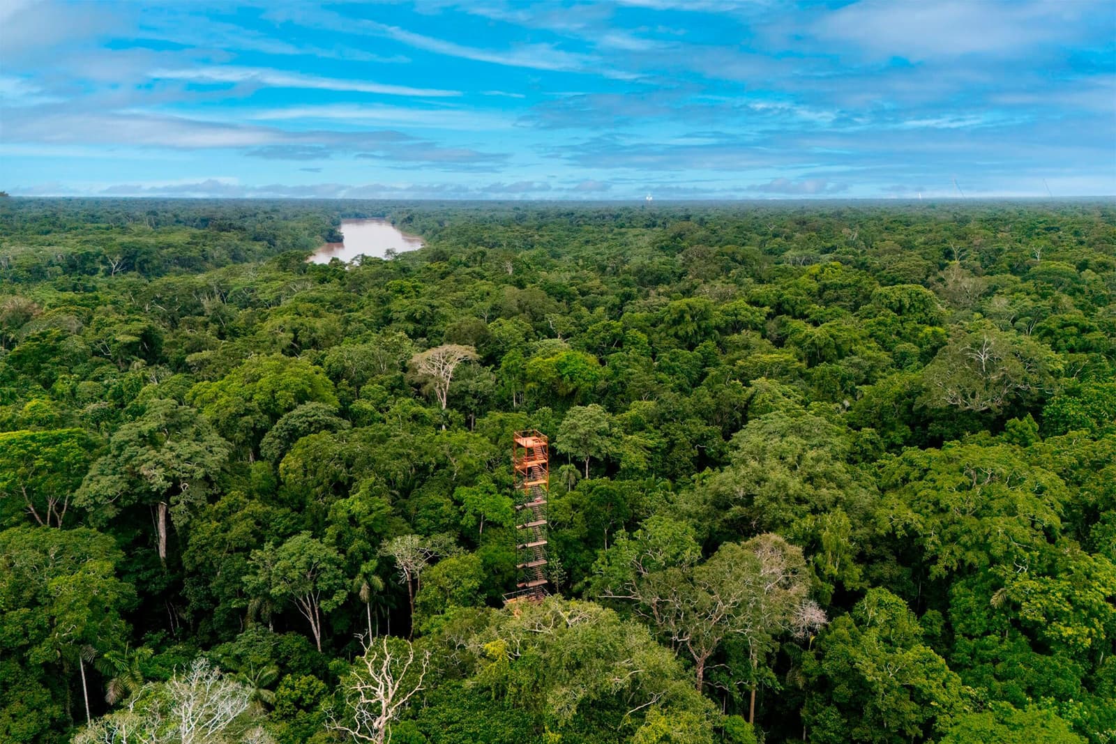 From up here, the forest just keeps going, river, trees, horizon, repeat. Aerial view of a tall wooden observation tower rising above an unbroken Amazon rainforest canopy, with a winding brown river visible in the distance under a partly cloudy blue sky, part of a Machu Picchu and Amazon tour in Peru.
