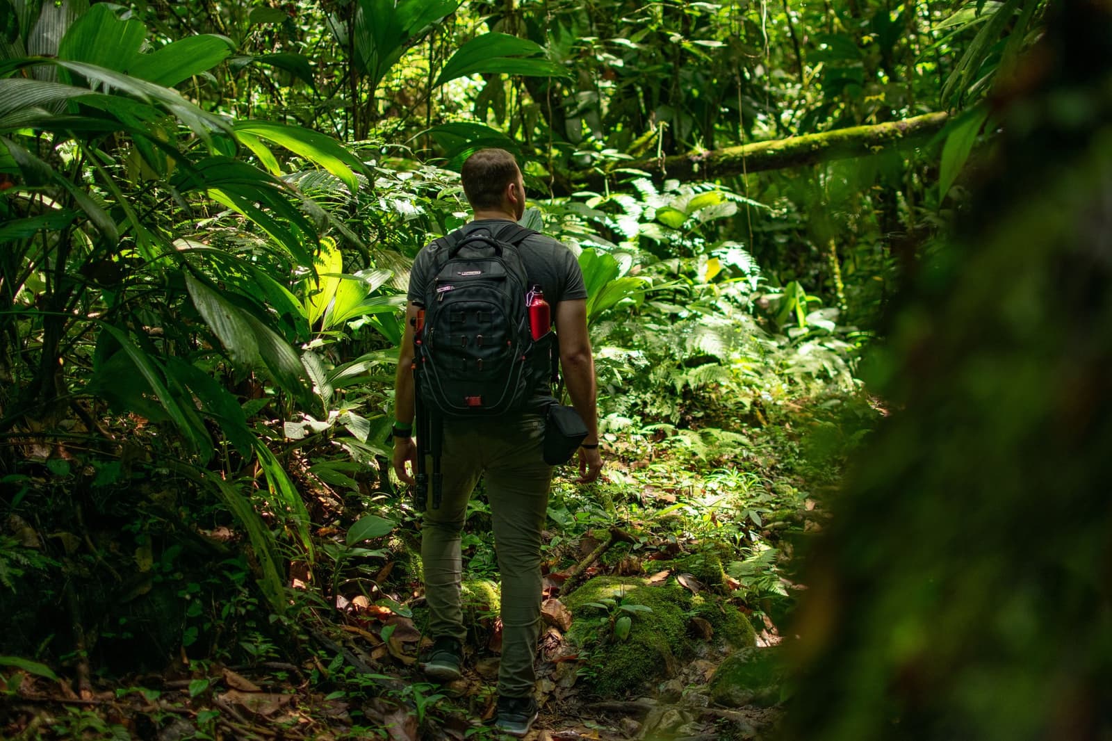 One foot in front of the other, and the rainforest takes over from there. A traveller with a black backpack walks along a narrow jungle trail surrounded by dense tropical vegetation on a machu picchu amazon tour