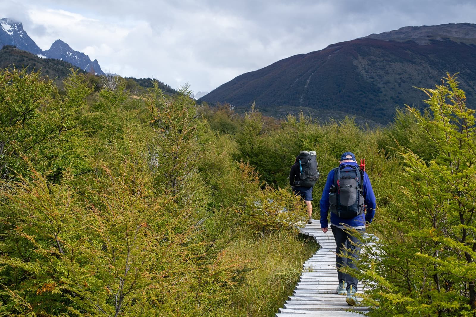 Boardwalks this good make you forget your pack weighs 14 kilos. Two backpackers with large packs walk along a wooden boardwalk trail through lenga shrubland on the o trek in patagonia, with snow-dusted granite peaks and rolling mountains rising under a cloudy sky