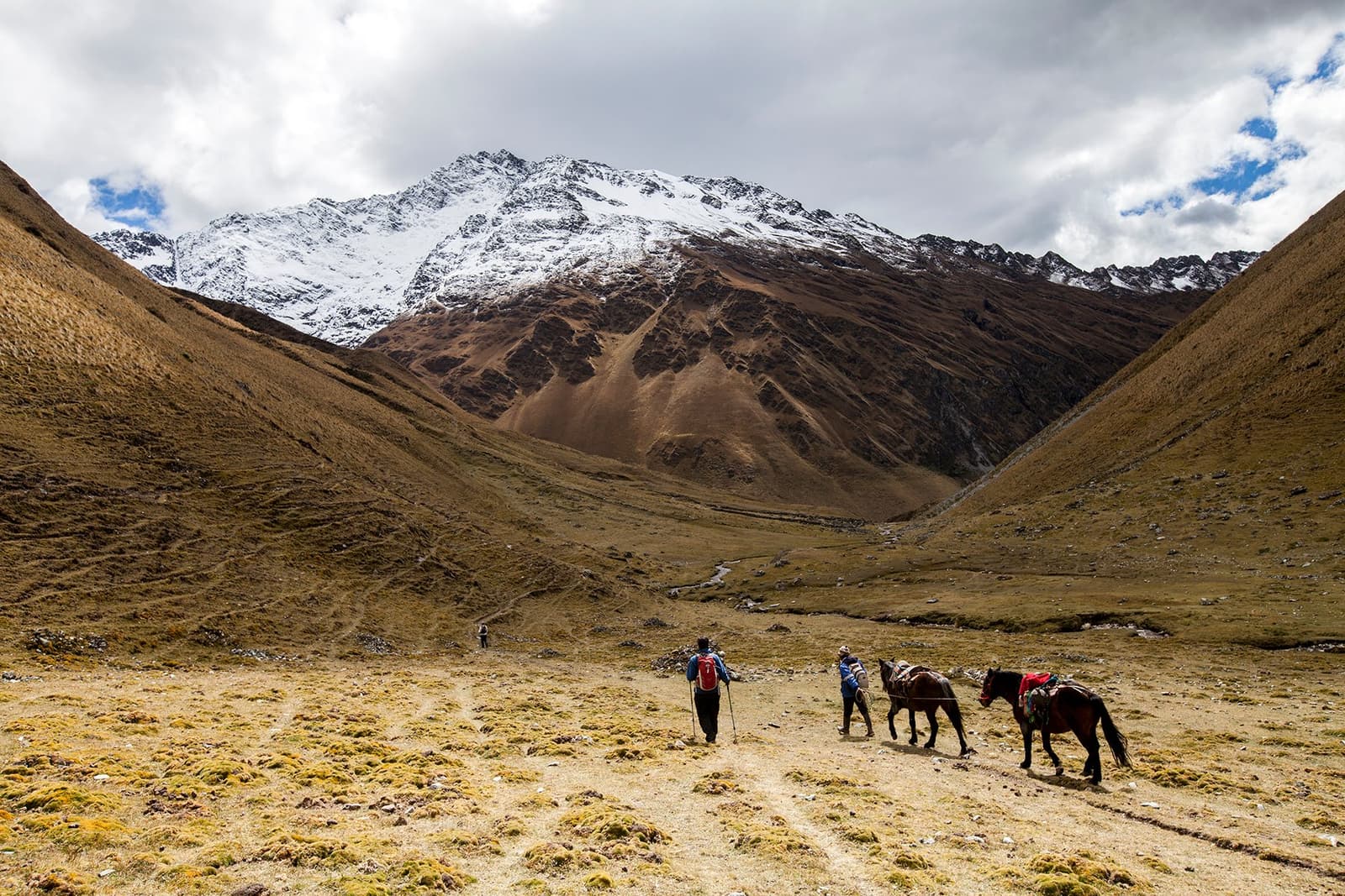 Horses carry the weight so you can actually look up. A trekker with hiking poles and a horseman leading two pack horses walk toward a snow-capped peak along the off-the-beaten-path Salkantay trek, crossing a wide high-altitude valley of golden puna grassland under a partly cloudy sky