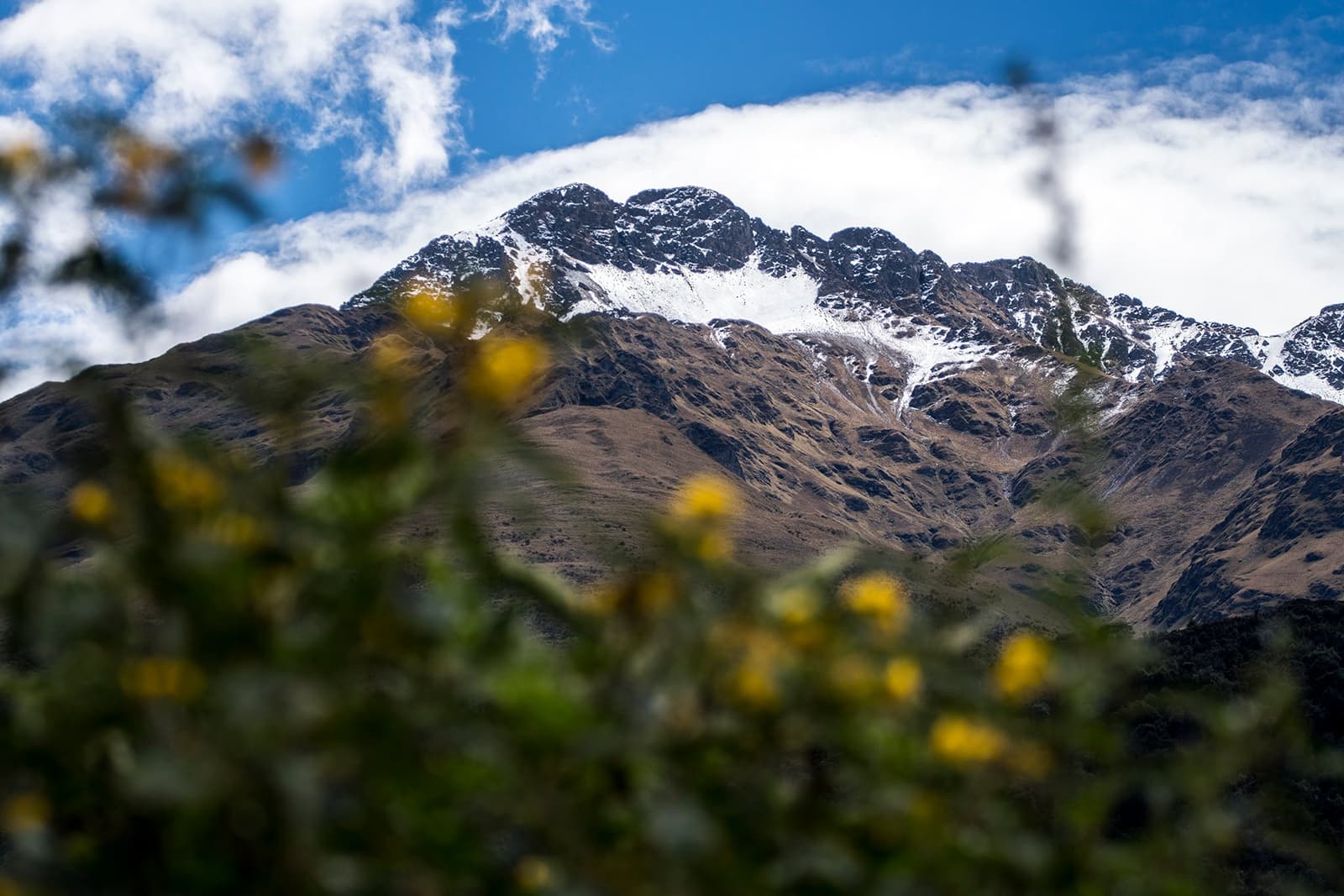 High Andes in full bloom, the mountain doesn't wait for you to be ready. Snow-dusted rocky mountain peak framed by blurred yellow wildflowers in the foreground, on the off-the-beaten-path Salkantay trek in Peru
