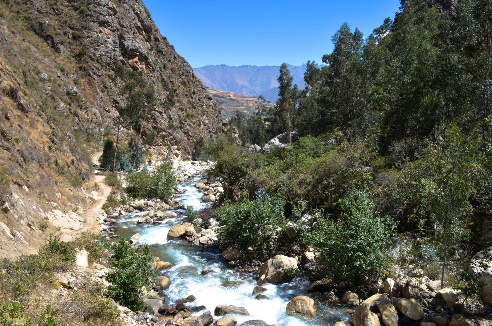 The river keeps its own pace down to Cashapampa, indifferent to tired legs. A clear turquoise mountain river rushes over boulders through a narrow Andean canyon on the santa cruz trek, with a dirt trail visible along the left bank and Andean peaks rising in the distance under a blue sky