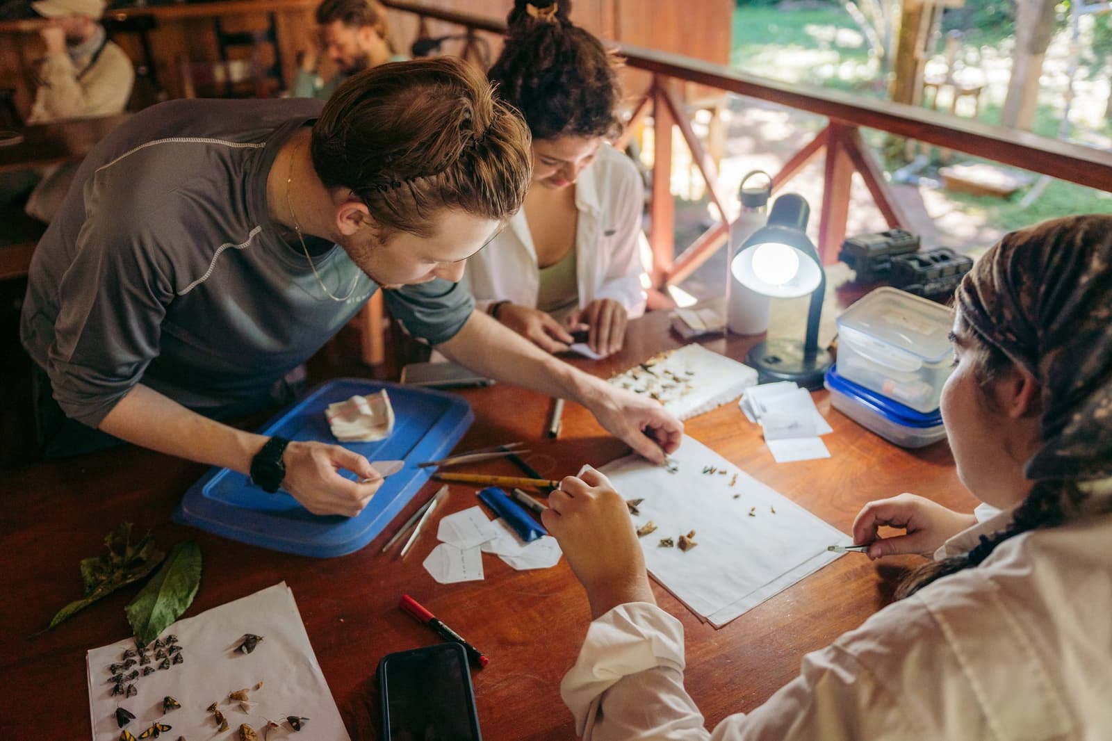 Turns out finding a new species starts with a pair of forceps and a lot of patience. Three guests bent over a wooden table at the Tambopata Research Center Peru, carefully sorting and pinning small dried insects onto white paper sheets under a magnifying lamp, with forceps and specimen containers spread across the surface