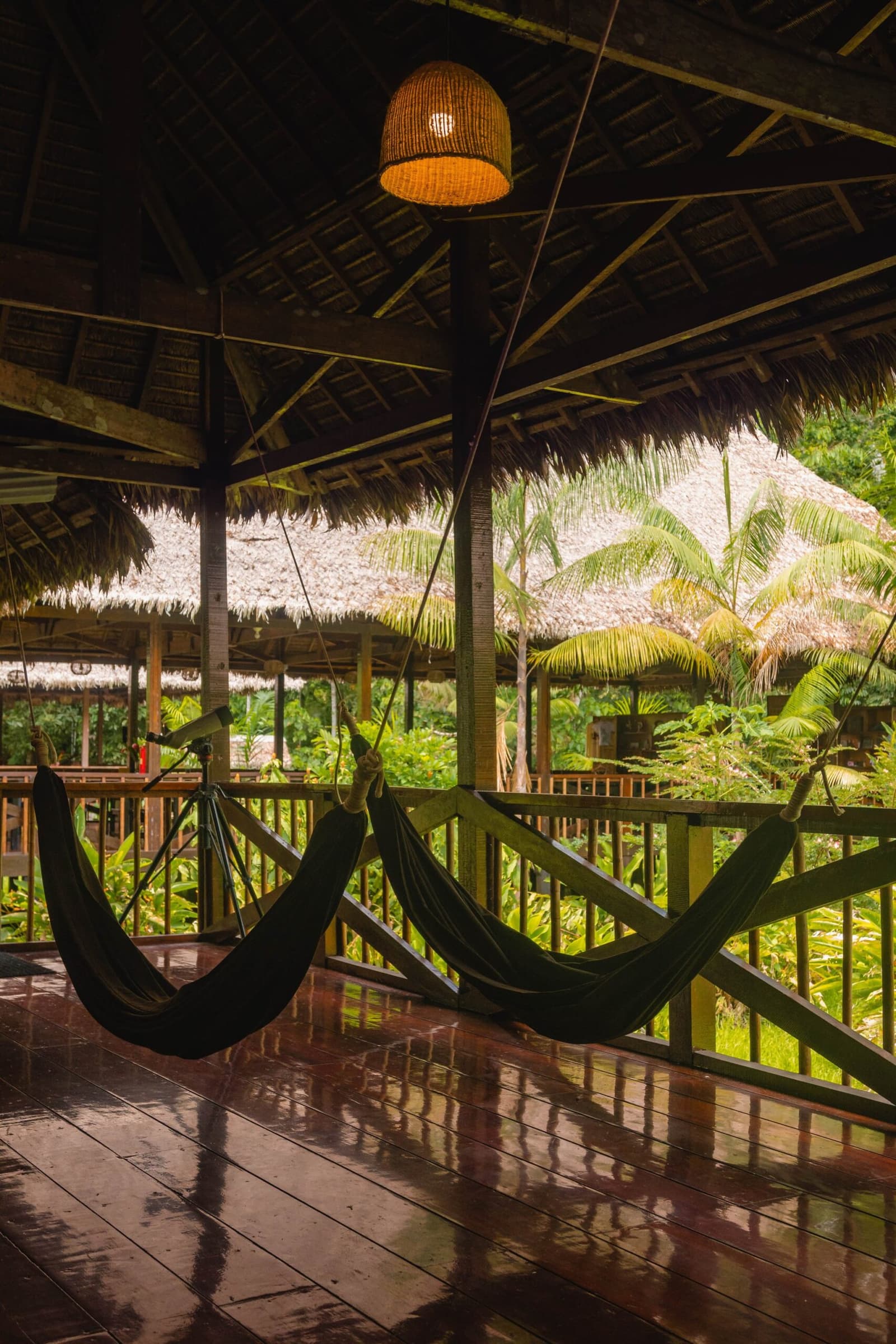 Rain just passed, the hammocks are free, and the forest is right there. Three dark fabric hammocks hang from the beams of an open-sided covered terrace at the Tambopata Research Center Peru, with a woven rattan pendant lamp overhead, a polished wooden floor still wet from rain, and lush palm-filled forest visible beyond the green-painted railing.