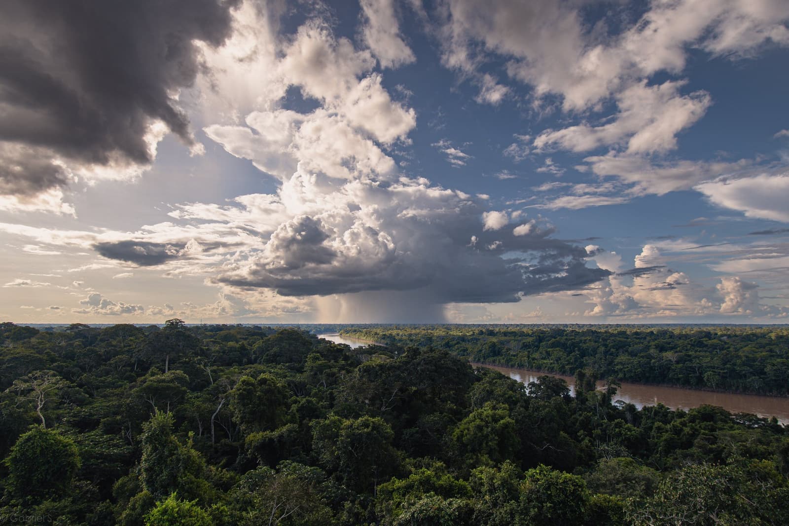 Storm building over the river, forest unbothered below. Photo: GABRIEL_S Aerial view over the Amazon rainforest canopy at the Tambopata Research Center Peru, with a muddy river winding through dense green treetops beneath towering cumulonimbus clouds and a distant rain shaft