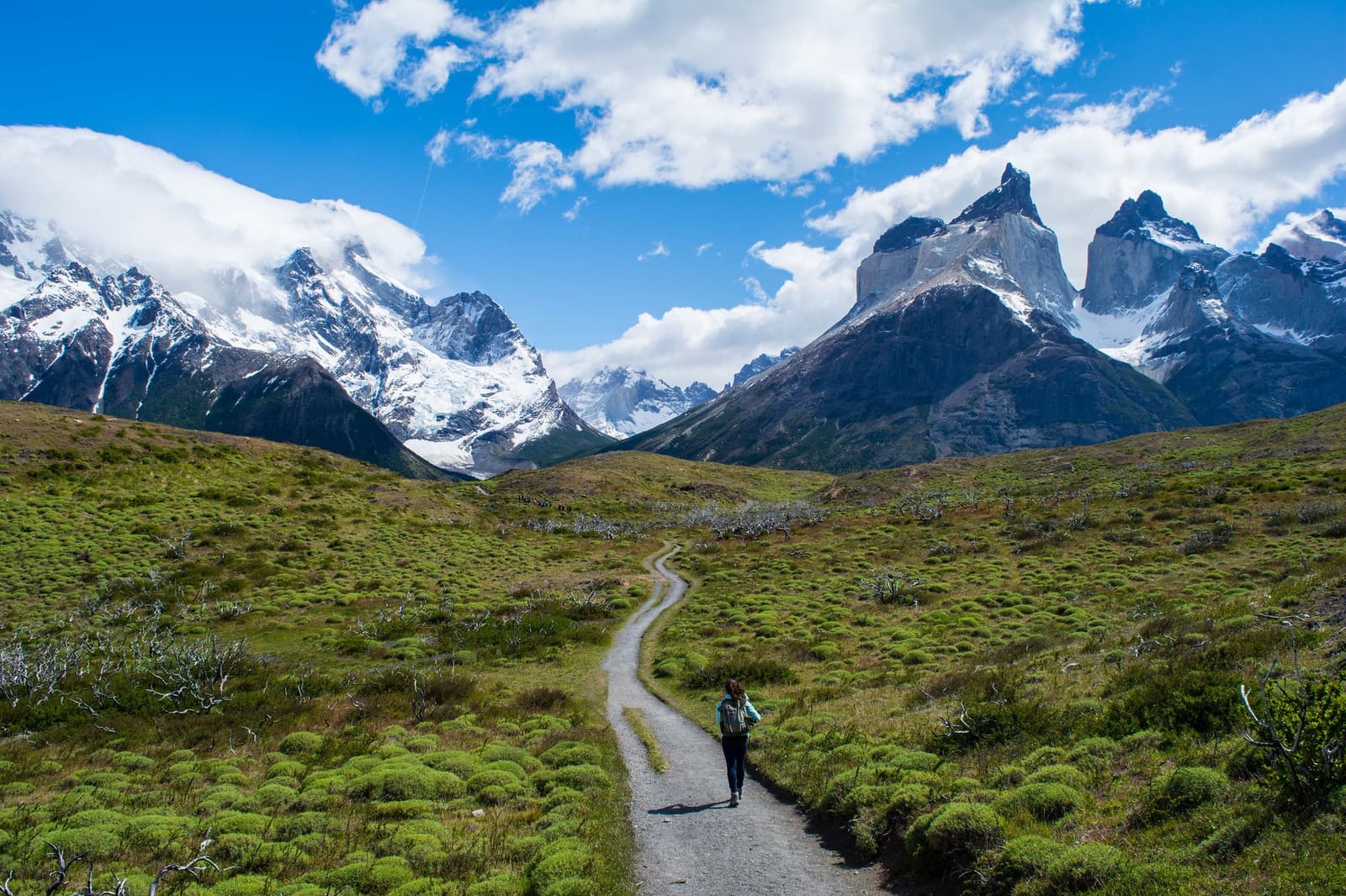 One path, one pair of boots, and the whole Paine Massif waiting at the end of it. A solo hiker with a backpack walks along a winding gravel trail through green Patagonian shrubland on the Torres del Paine W Trek, with snow-capped peaks and the distinctive granite towers rising under a blue sky ahead