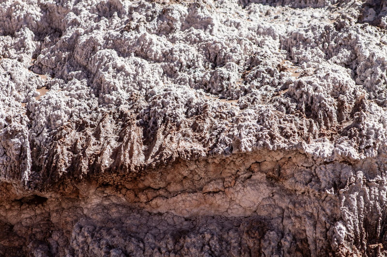 El desierto lleva la cuenta de cada temporada seca, escrita en sal. Photo: Rodolfo GOUD Primer plano de formaciones de costra de sal cristalina y dentada sobre sedimento oscuro, propias del terreno mineral que se recorre en el camping en el desierto de Atacama