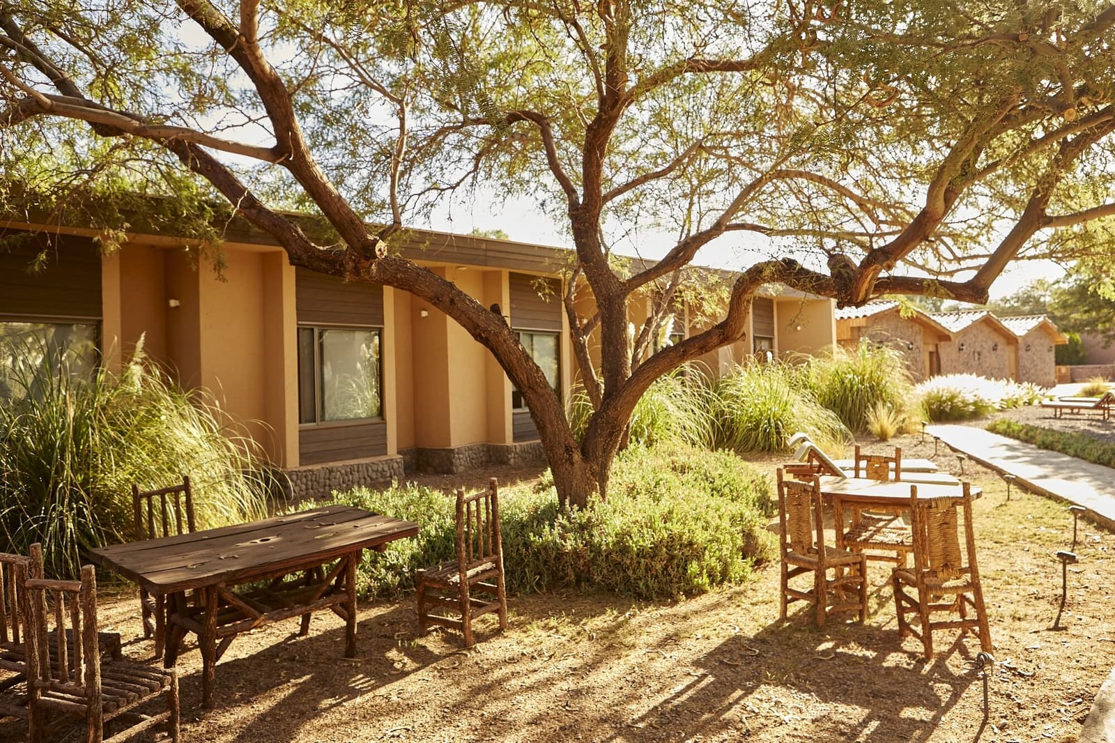 Shade, a good seat, and nowhere you need to be for a while. Rustic wooden tables and wicker chairs arranged under a spreading desert tree in the shaded courtyard of a low-slung adobe-toned lodge, part of an atacama desert tour package stay in San Pedro de Atacama
