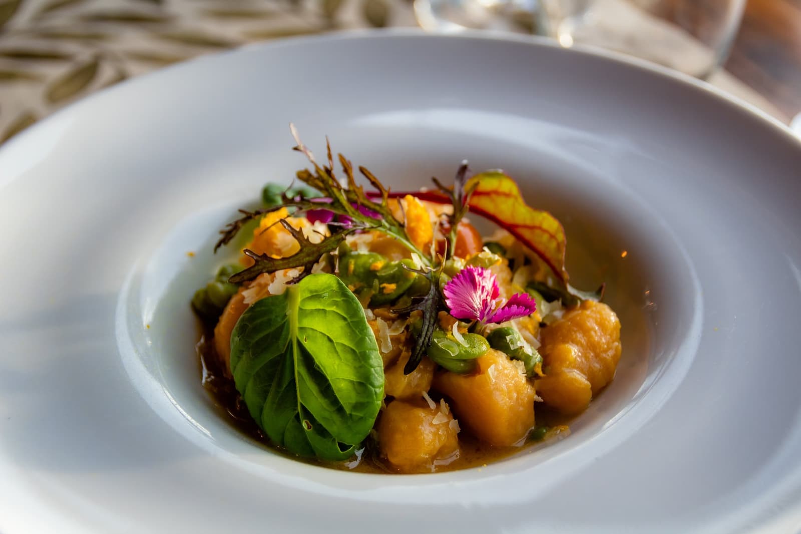 Ranch cooking has come a long way from the shearing shed. A white bowl of golden gnocchi in broth, garnished with fresh basil leaves, edible pink flowers, green herbs, and shaved cheese, served at Estancia Cerro Guido's restaurant