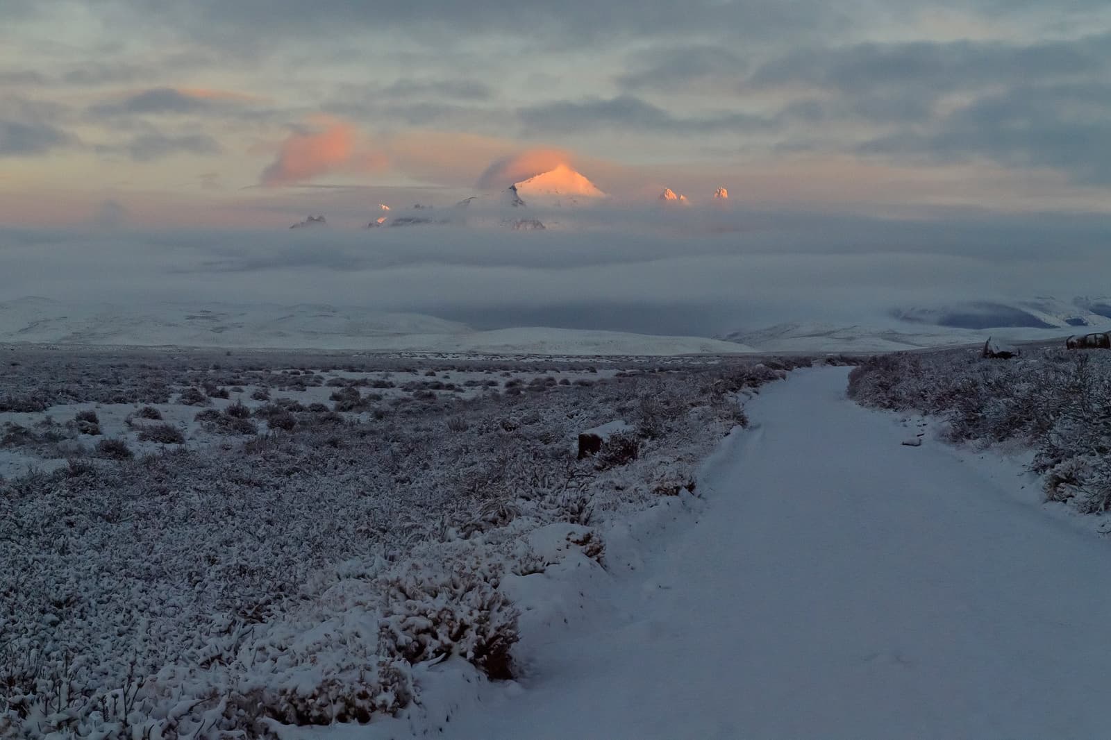 The mountain shows just enough of itself to remind you who's in charge. Photo: PIA VERGARA A snow-covered dirt track leads across a frozen Patagonian steppe toward snow-dusted shrubs, with a large glaciated mountain peak emerging through low cloud and lit by warm alpenglow at estancia cerro guido.
