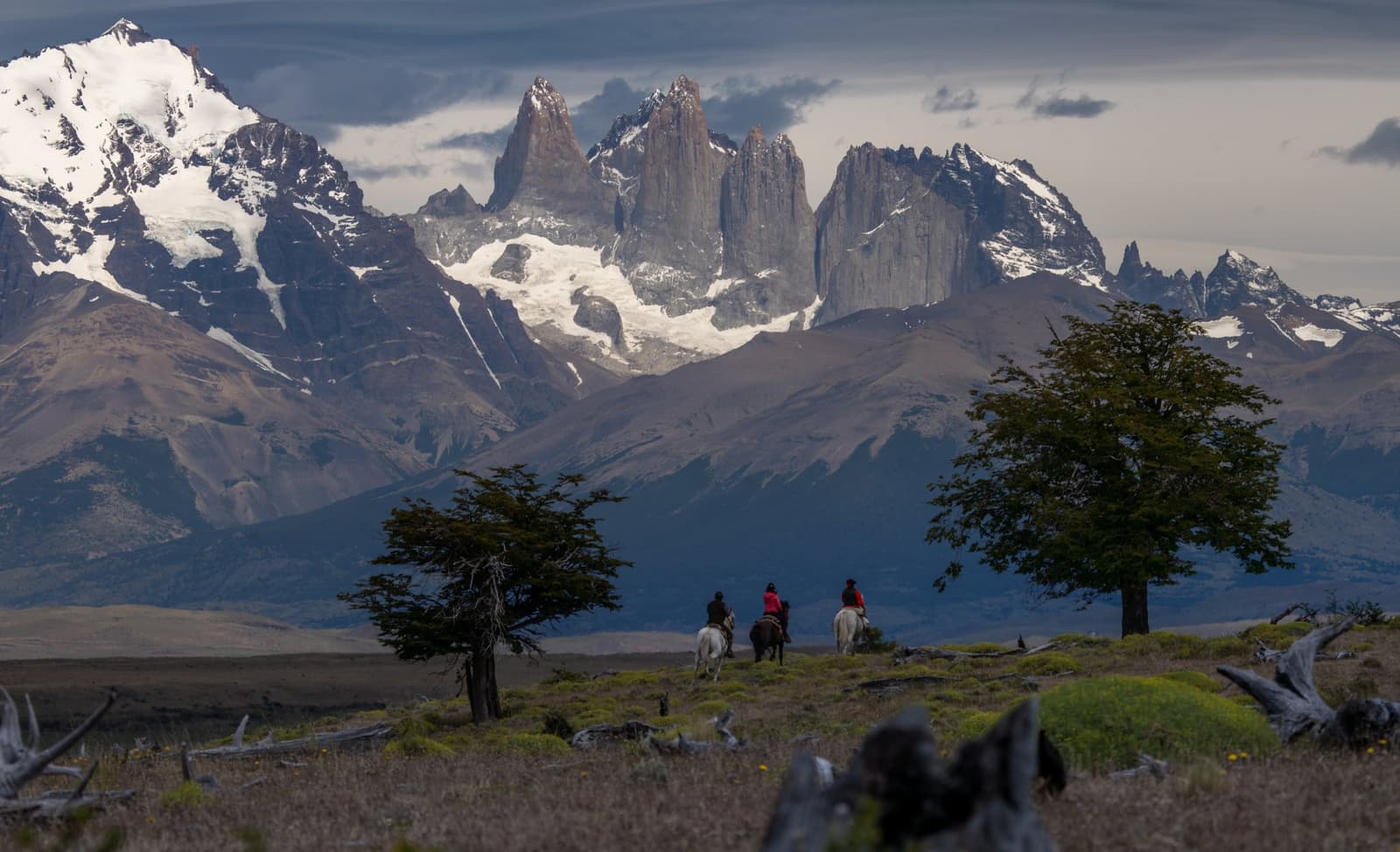 Saddle up. The towers have been waiting all morning. Three riders on horseback cross open Patagonian steppe at Estancia Cerro Guido, with the granite towers of Torres del Paine rising sharply above snow-streaked mountains in the background
