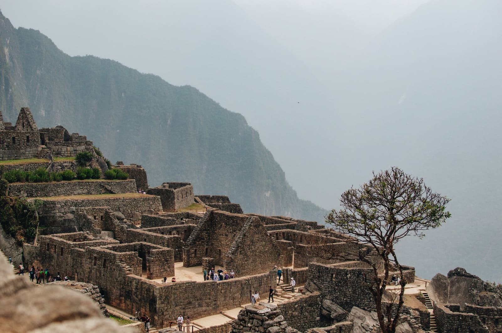 Six hundred years on, the walls still have opinions about the weather. Visitors walk among the roofless stone enclosures of Machu Picchu's urban sector during a machu picchu amazon tour, with a lone tree on the edge and steep Andean ridges fading into low cloud behind