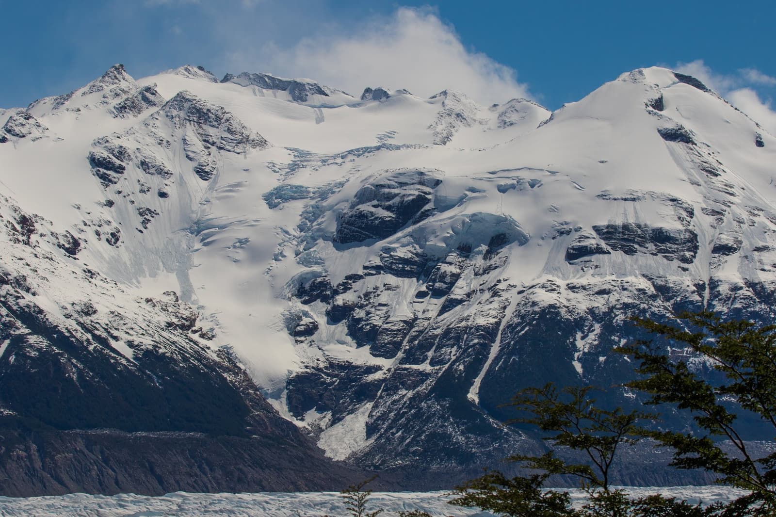 Ice this close, earned one step at a time. Photo: outdoorstv.cl Snow-covered peaks and a glacial ice field loom above tree tops on the self-guided O Circuit, with blue ice visible in the crevassed lower slopes and a strip of glacier at the base