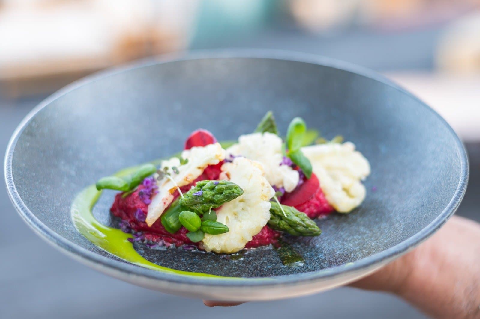 Six days of big mountain miles, and this is your reward. A hand holds a slate-blue bowl plated with vibrant beetroot purée, green asparagus tips, herb oil, crispy cheese wafers, and edible flowers, served on the O Trek in Patagonia at EcoCamp Patagonia
