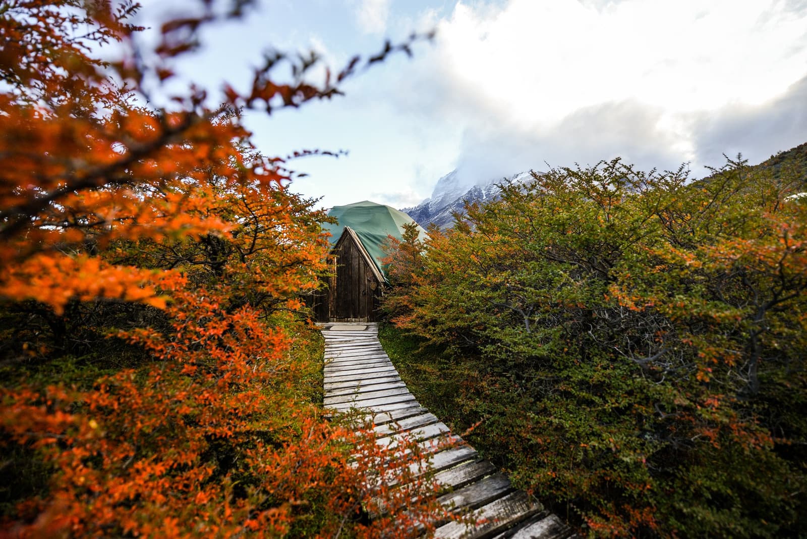 Autumn turns the lenga red, and your dome is waiting at the end of the path. Photo: Standard Dome A wooden boardwalk lined with vivid orange-red autumn lenga beech shrubs leads to a green geodesic dome and small wooden cabin at EcoCamp, part of a torres del paine 4 day all inclusive tour, with a snow-dusted mountain peak emerging from clouds in the background