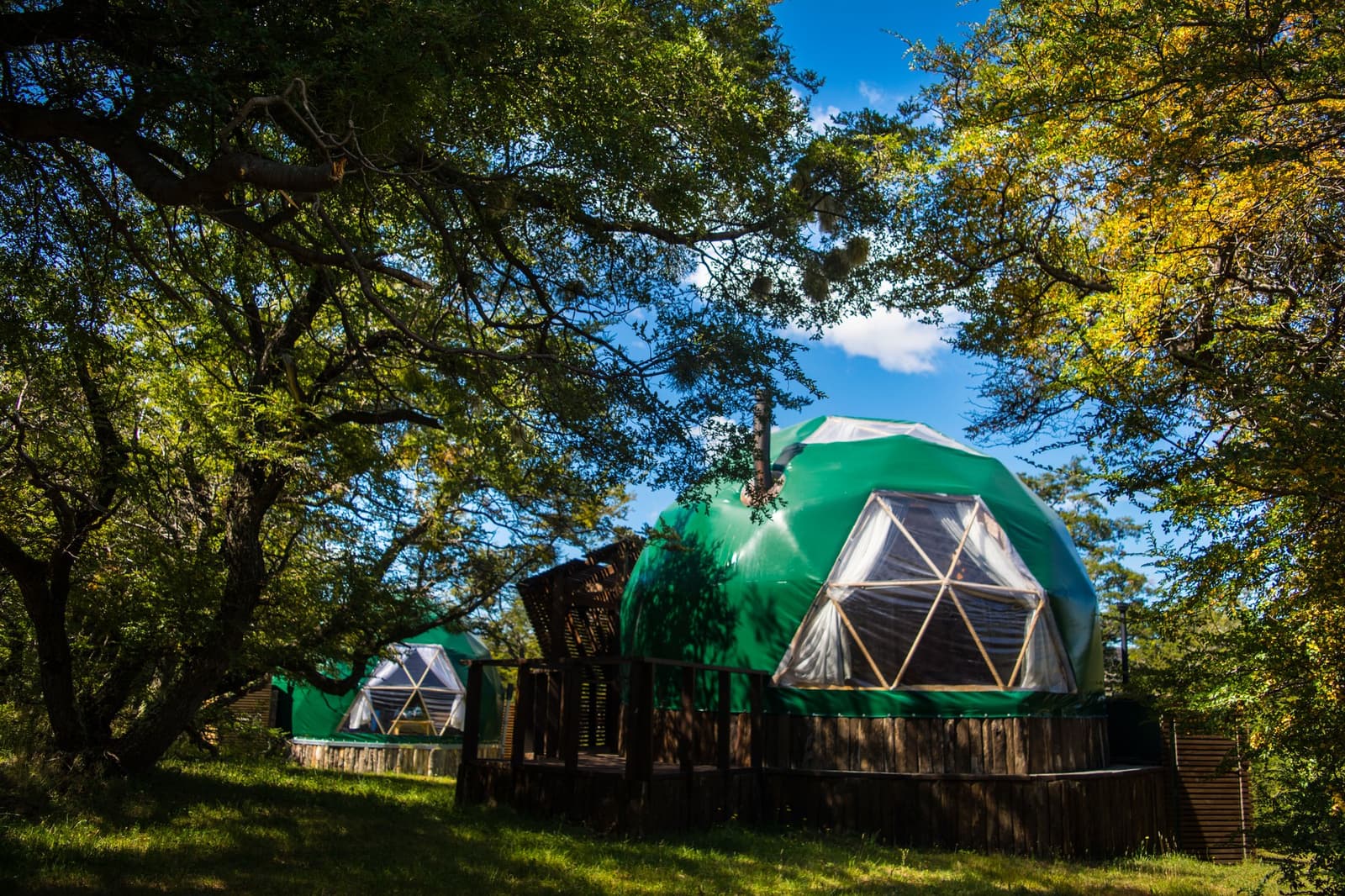 O domo já está lá, meio escondido entre as árvores, como se a floresta o tivesse guardado pra você. Photo: Suite Dome Loft Dois alojamentos em domo geodésico verde sobre plataformas de madeira elevadas entre árvores de folha larga sob céu azul, parte da experiência do W Trek Torres del Paine no EcoCamp