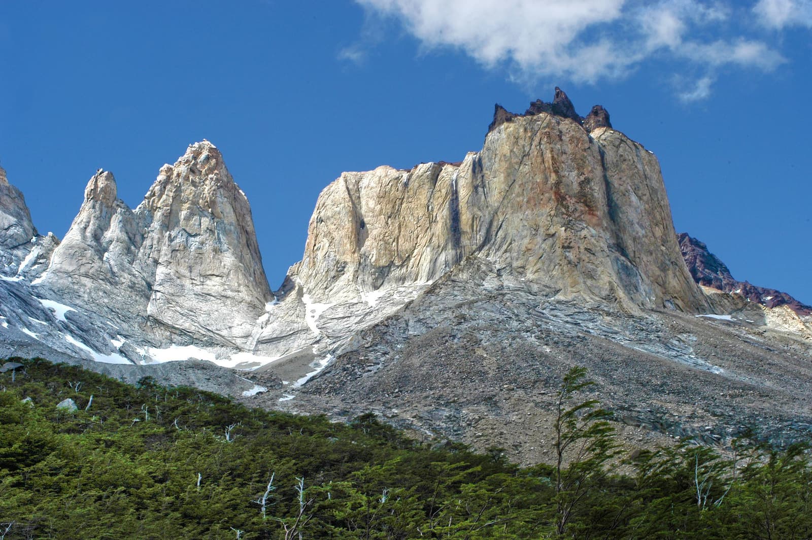 The Paine Massif up close, and suddenly the map makes a lot more sense. Towering granite spires and a broad golden cliff face of the Paine Massif rise above wind-bent lenga beech forest on the torres del paine w trek, with patches of snow on the rocky slopes and a deep blue sky above