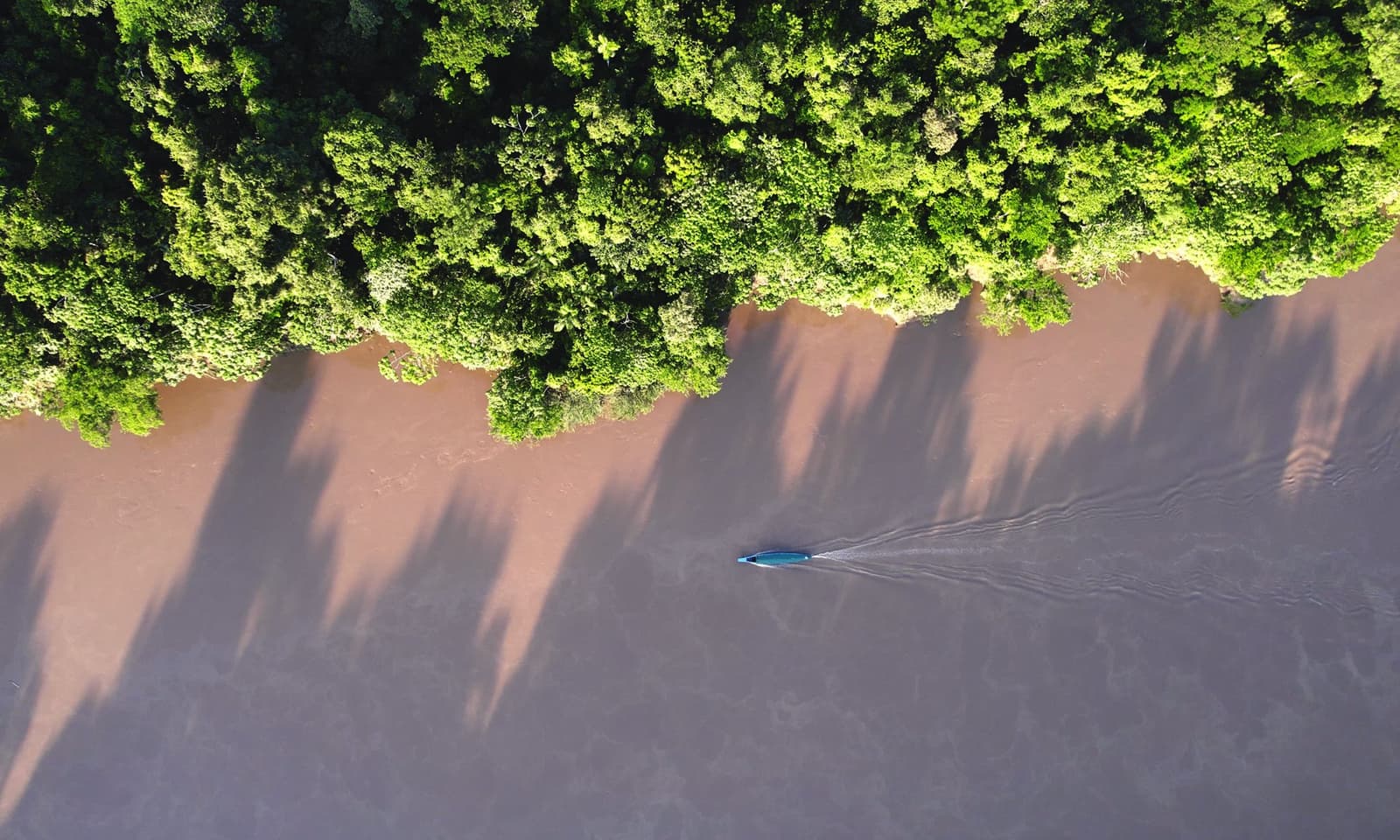 One boat, one river, and the whole jungle keeping score. Aerial view of a small motorboat leaving a V-shaped wake on the brown waters of the Tambopata River, flanked by dense Amazon rainforest canopy casting long shadows across the surface, on an amazon tour from puerto maldonado
