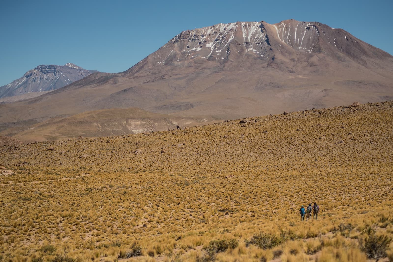Drie stipjes, één reus van een vulkaan, en eindeloos veel stilte daartussen. Drie wandelaars met rugzakken steken een uitgestrekte gouden hoogvlakte over tijdens een Atacama-woestijn-trek, met een grote besneeuwde vulkaan onder een diepblauwe lucht