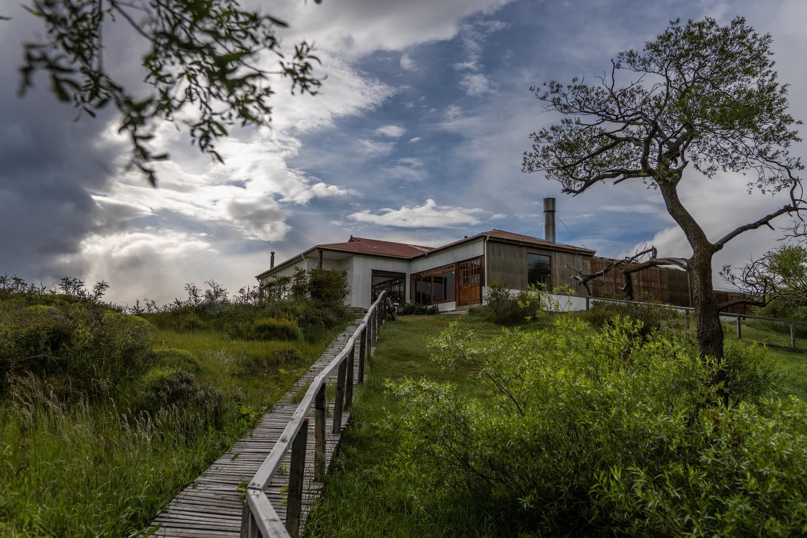 Follow the boardwalk up and the steppe opens around you like a slow exhale. A weathered wooden boardwalk leads uphill through lush green shrubs toward the estancia cerro guido lodge, a low white building with a red roof, warm timber accents, and a chimney stack, framed by a lone native tree under a dramatic cloudy sky