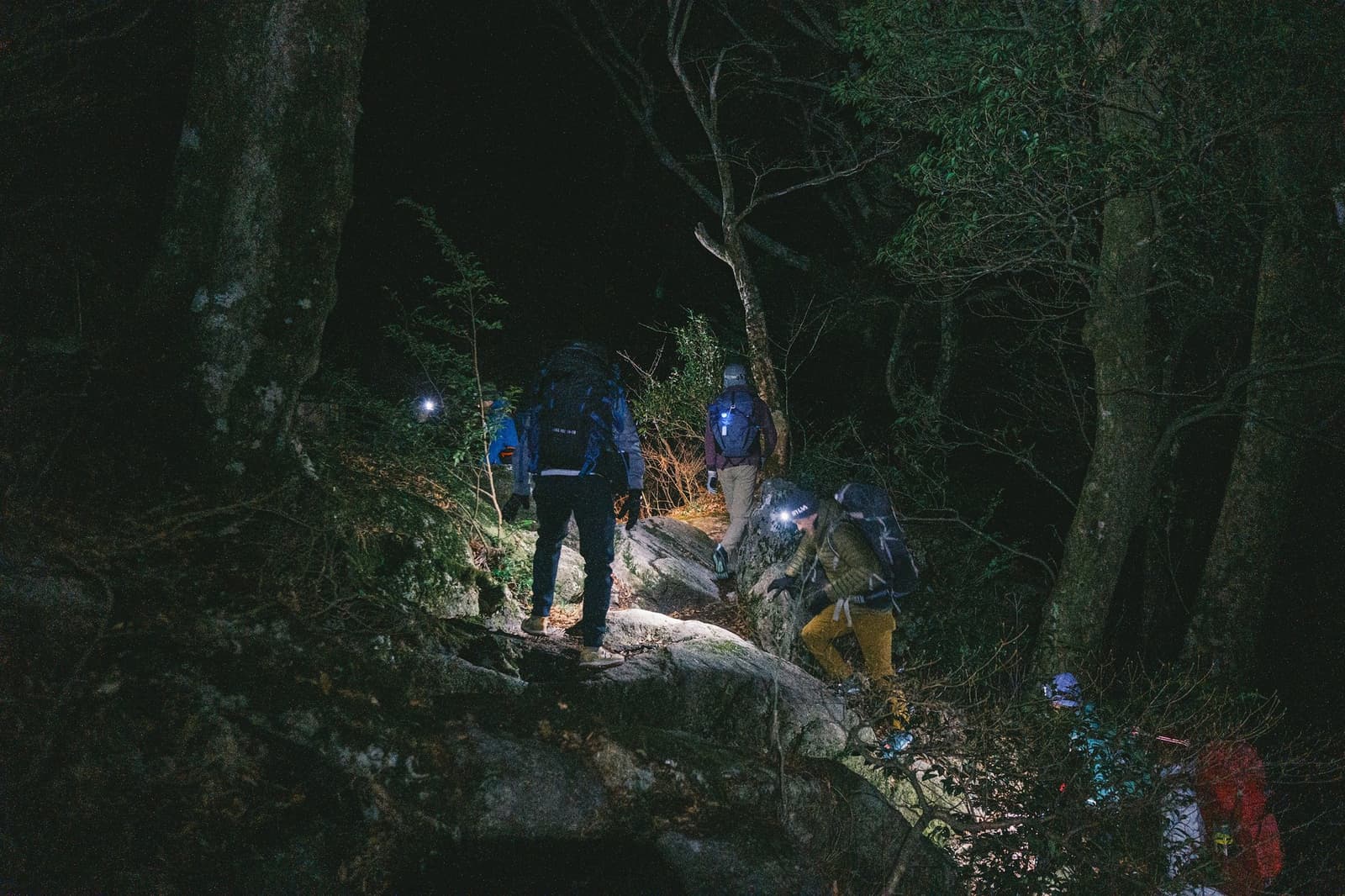Headlamps on, forest ahead, everyone quietly impressed by how dark dark actually is. Three backpackers wearing headlamps pick their way over mossy rocks and tree roots along a dark forest trail on a machu picchu amazon tour night walk