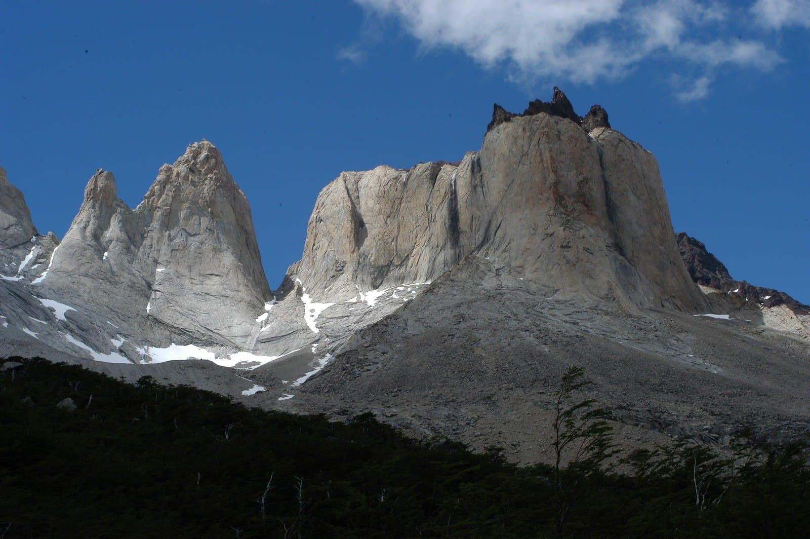 The rock that stops you mid-sentence, every single time. Massive granite towers and spires of Torres del Paine rise above a subpolar forest and scree slopes under a deep blue sky, the dramatic terrain where puma trekking in Patagonia takes place