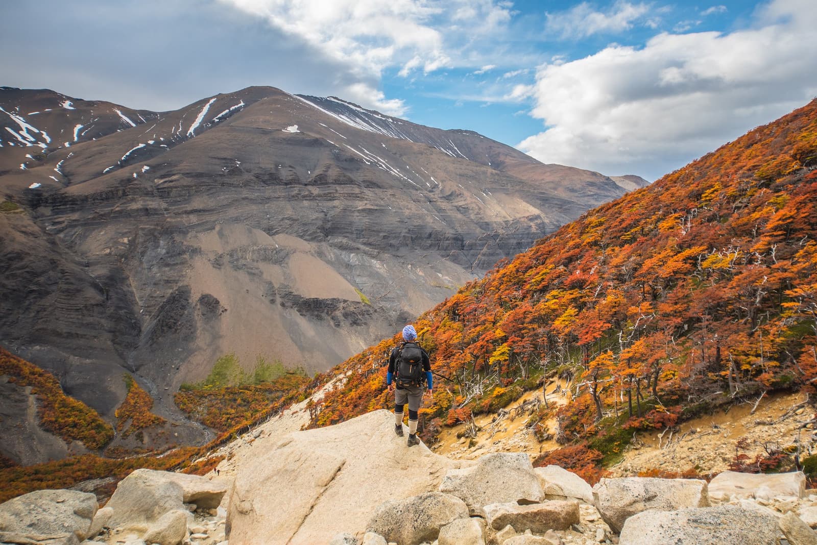 Autumn turns the lenga beech into something that stops you mid-step. A hiker with a full backpack descends a rocky ridge on the torres del paine w trek, flanked by lenga beech trees in vivid autumn reds and oranges, with a steep scree mountain and snow streaks rising across the valley under a partly cloudy sky