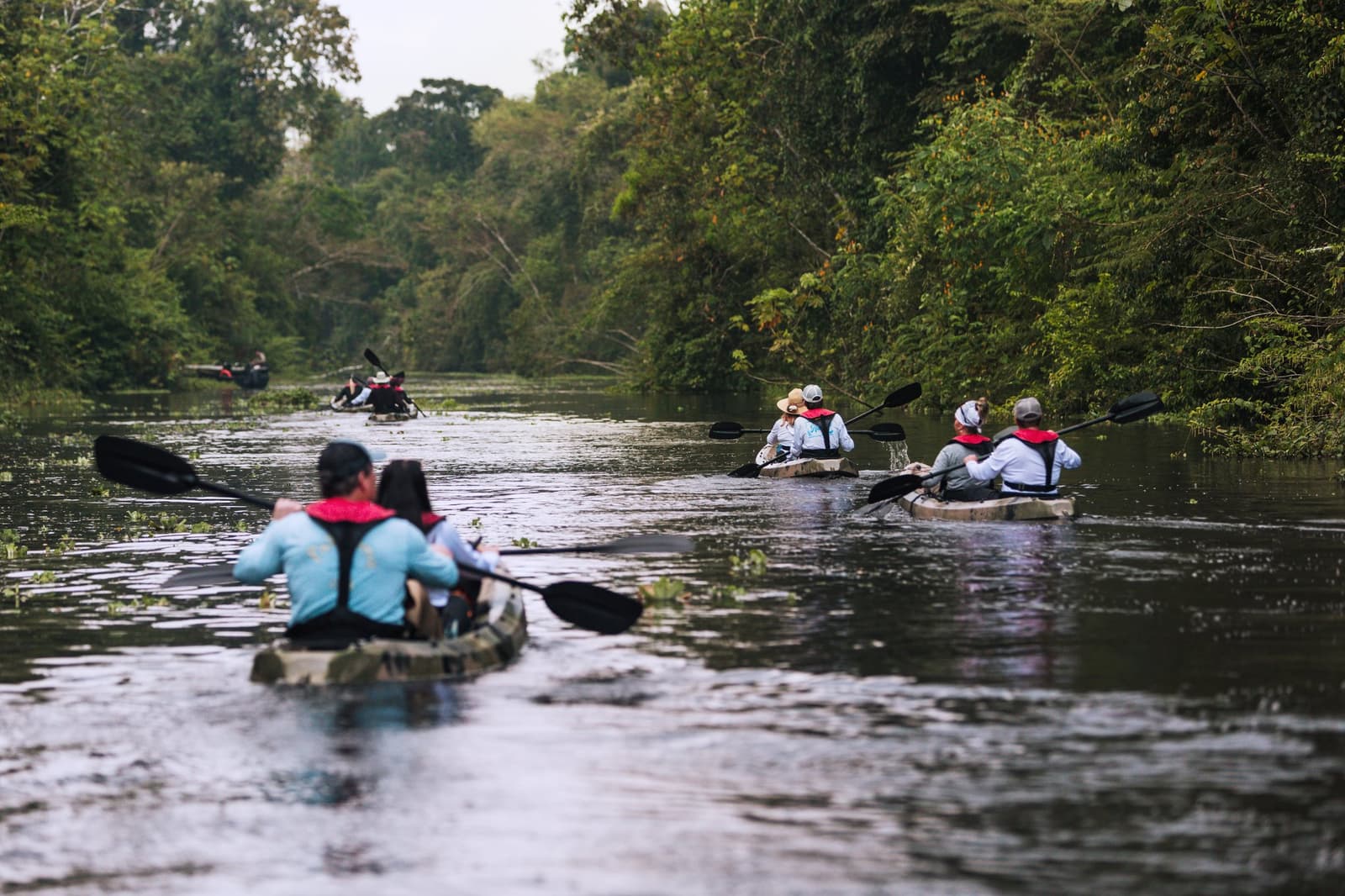 Paddles in, engines out, and the forest gets a lot closer from here. Photo: Yvonne Kreuzmayr A group of guests in red life vests paddling tandem kayaks along a narrow, vegetation-lined river channel during an Aria Amazon cruise excursion, with dense tropical forest closing in on both banks