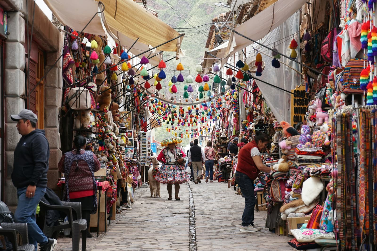 Pisac market, where the pompoms are ceiling-high and the alpaca has opinions about the foot traffic. A cobblestone market alley in Pisac lined with colorful textile stalls and hanging wool pompoms, with a woman in traditional Andean dress walking a small alpaca — a vivid stop on this Machu Picchu and Amazon tour overland across Peru.