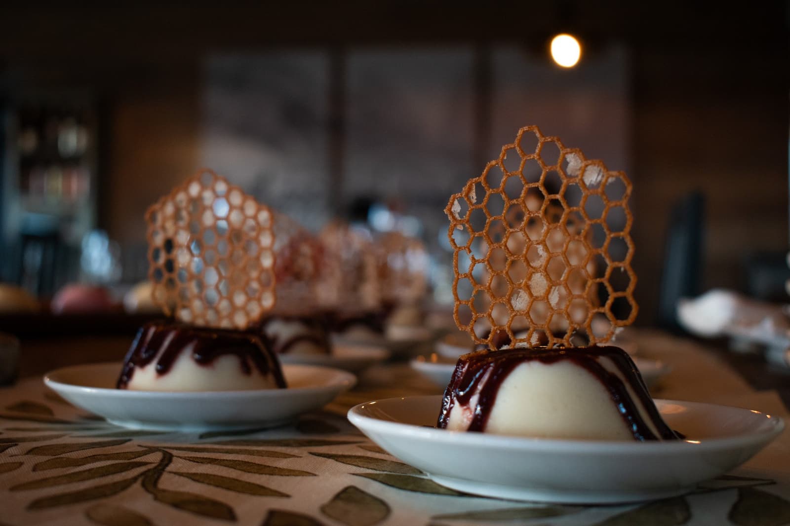 The kitchen clearly has opinions about how dinner should end. Two plated desserts at Estancia Cerro Guido, each a pale domed panna cotta with dark chocolate sauce topped by a delicate honeycomb-patterned caramel tuile, served on white saucers in a warmly lit dining room